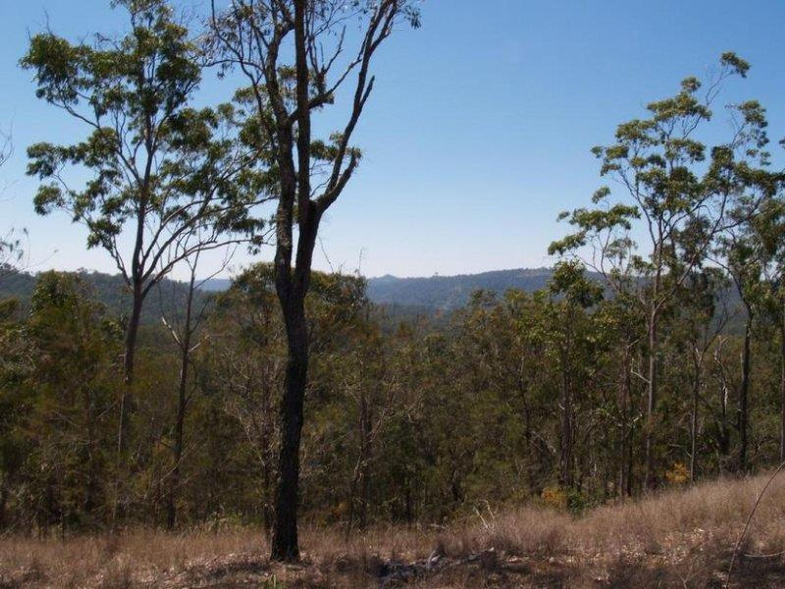 72 Martin Road, Nymboida - Thumbnail 5