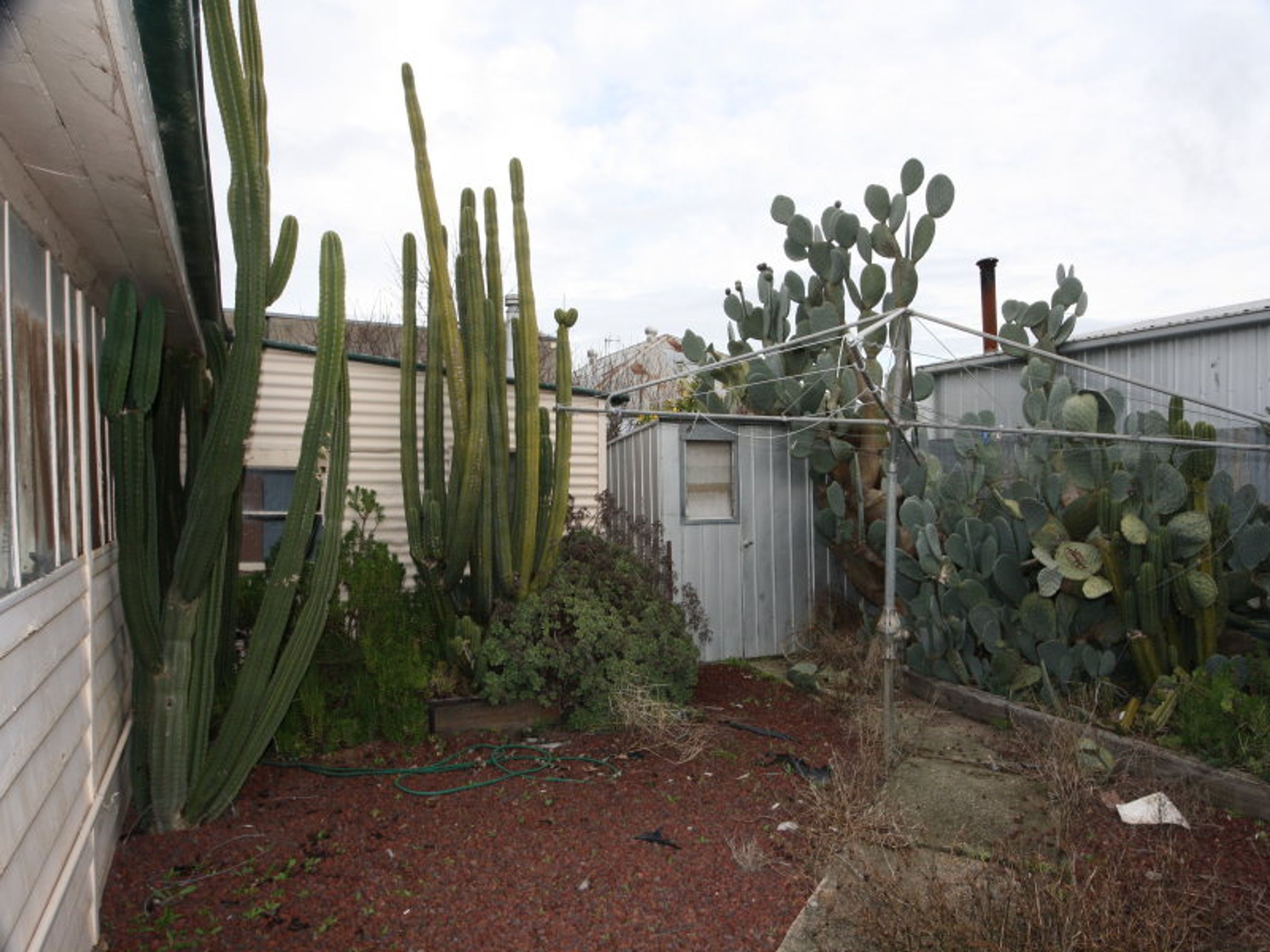 4 Clark Street, Horsham VIC 3400, Horsham - Thumbnail 2