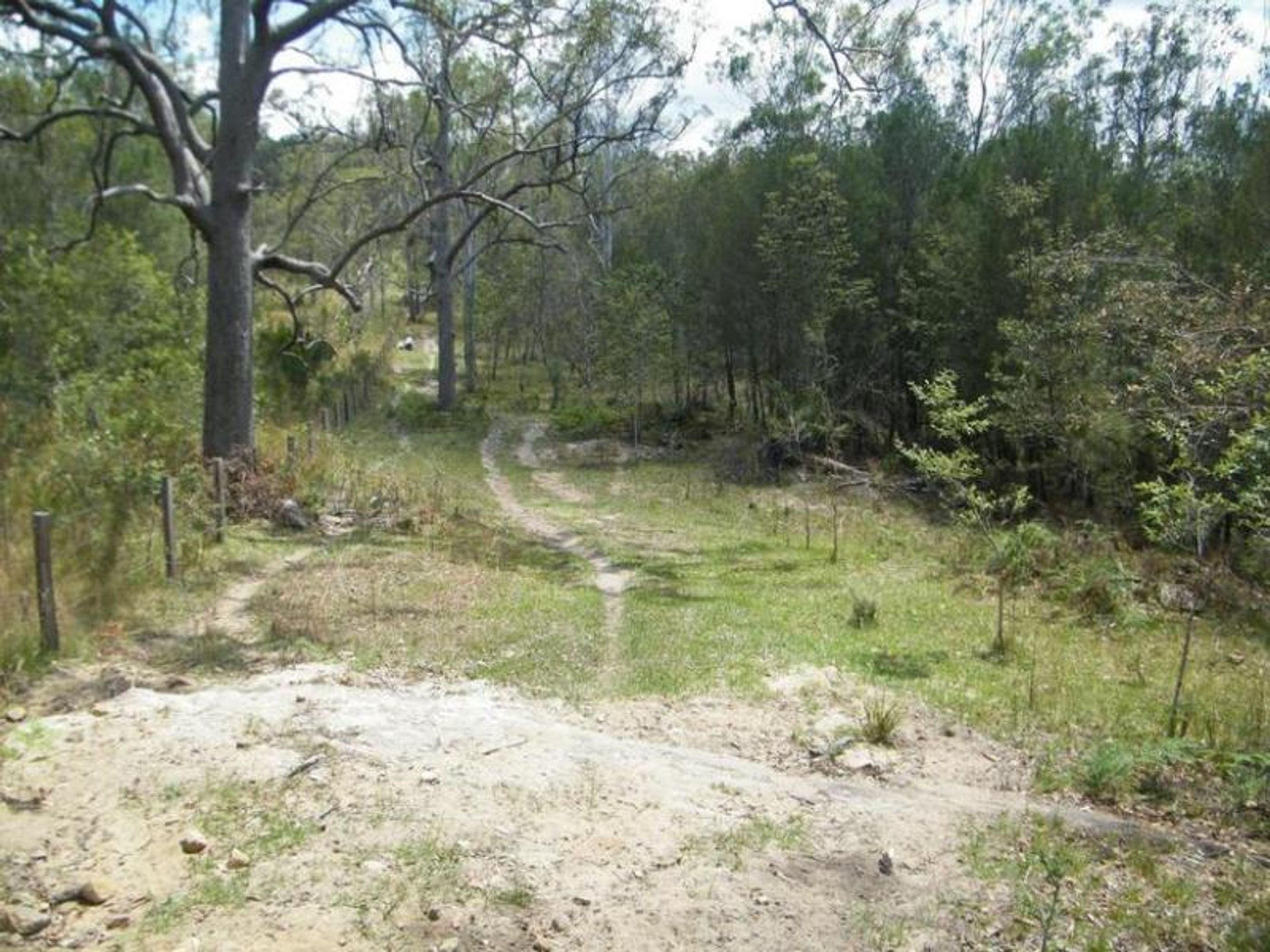 335/335/Lot 335, 450 Greberts Road, Whiteman Creek - Thumbnail 7