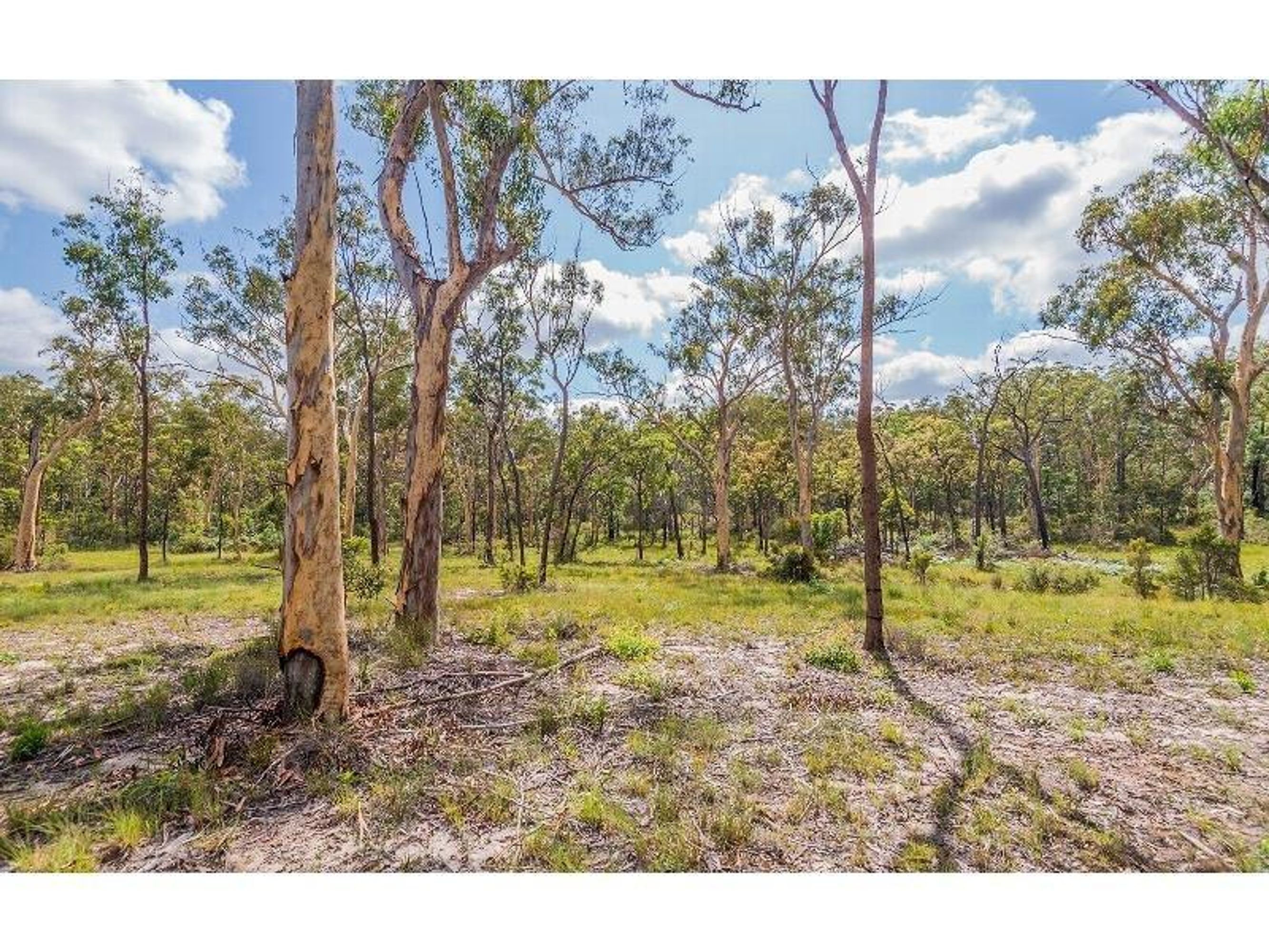 775 Parker Road, Lanitza - Thumbnail 6
