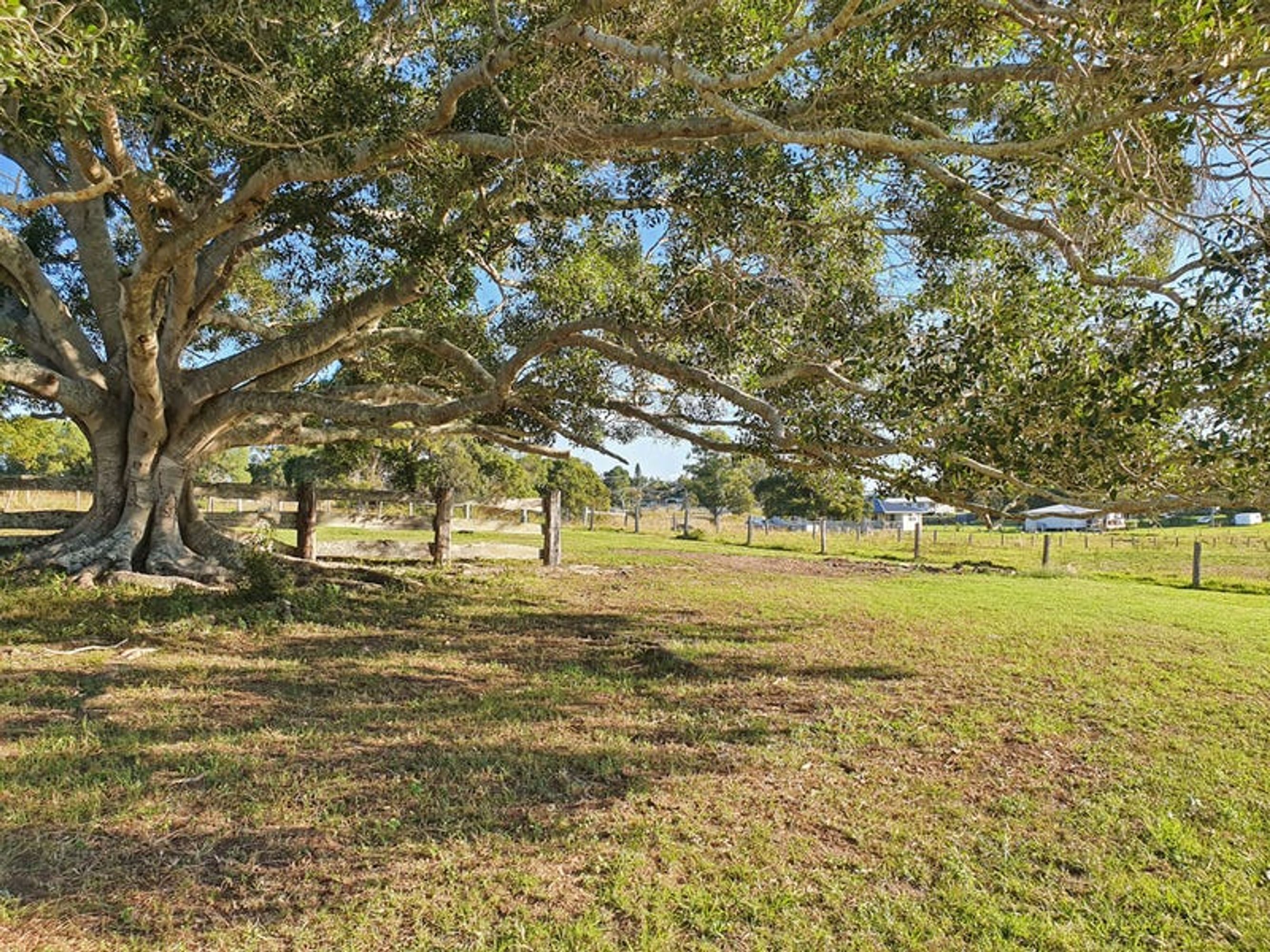 Lot 3 Kings Creek Road, Lawrence - Thumbnail 8