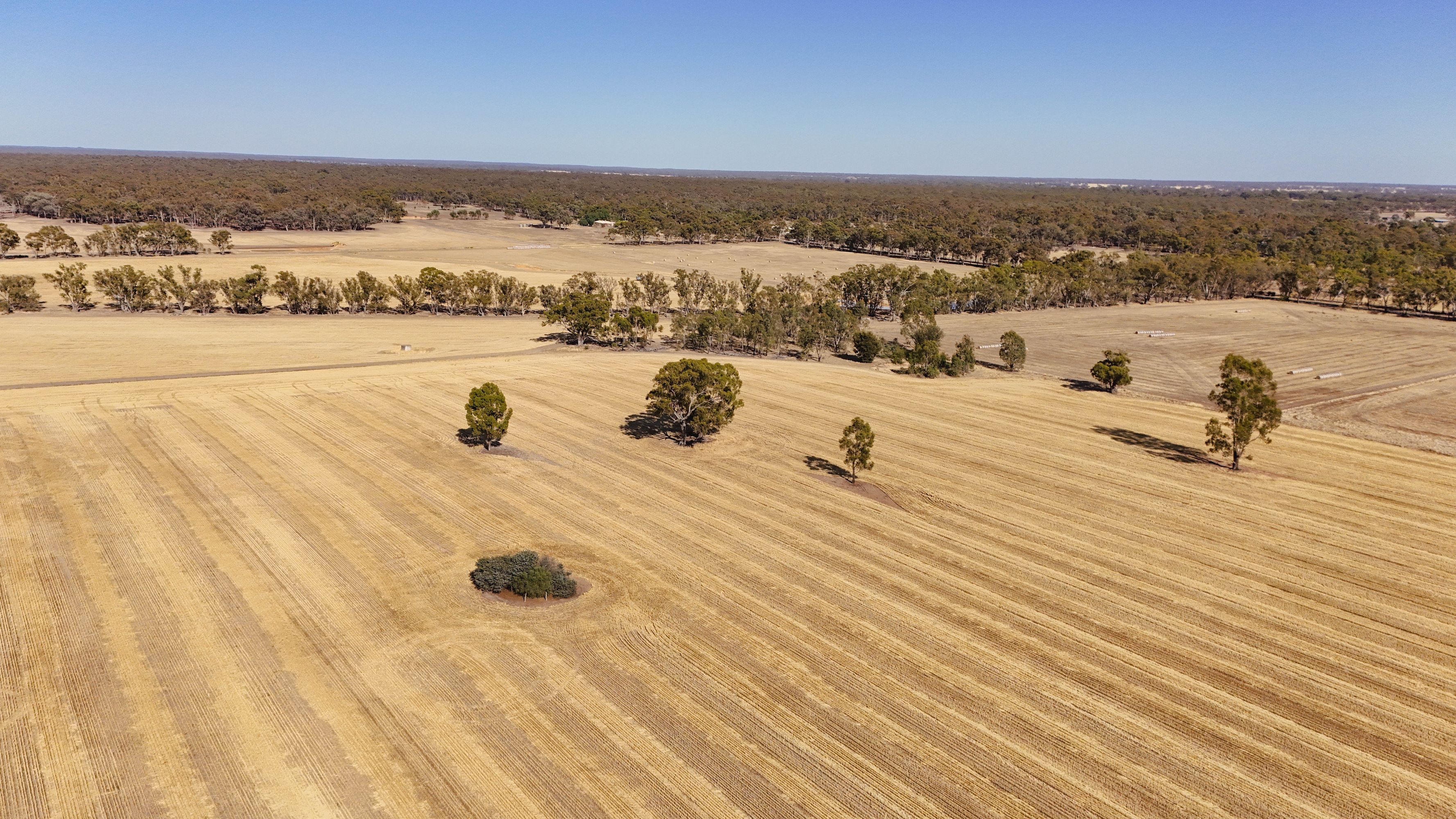 99 Winzar Lane, Goornong, Goornong - Thumbnail 6