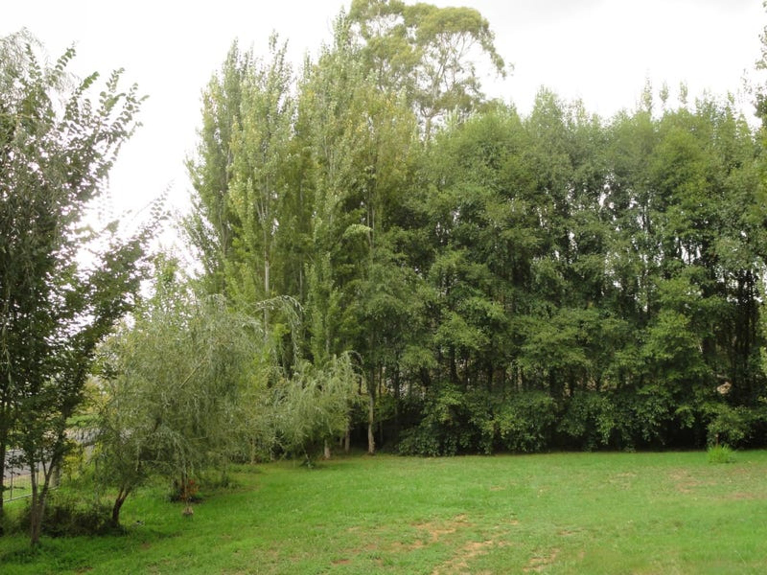 143 Boyle Swamp Road, Mylor, SA 5153, Mylor - Thumbnail 8