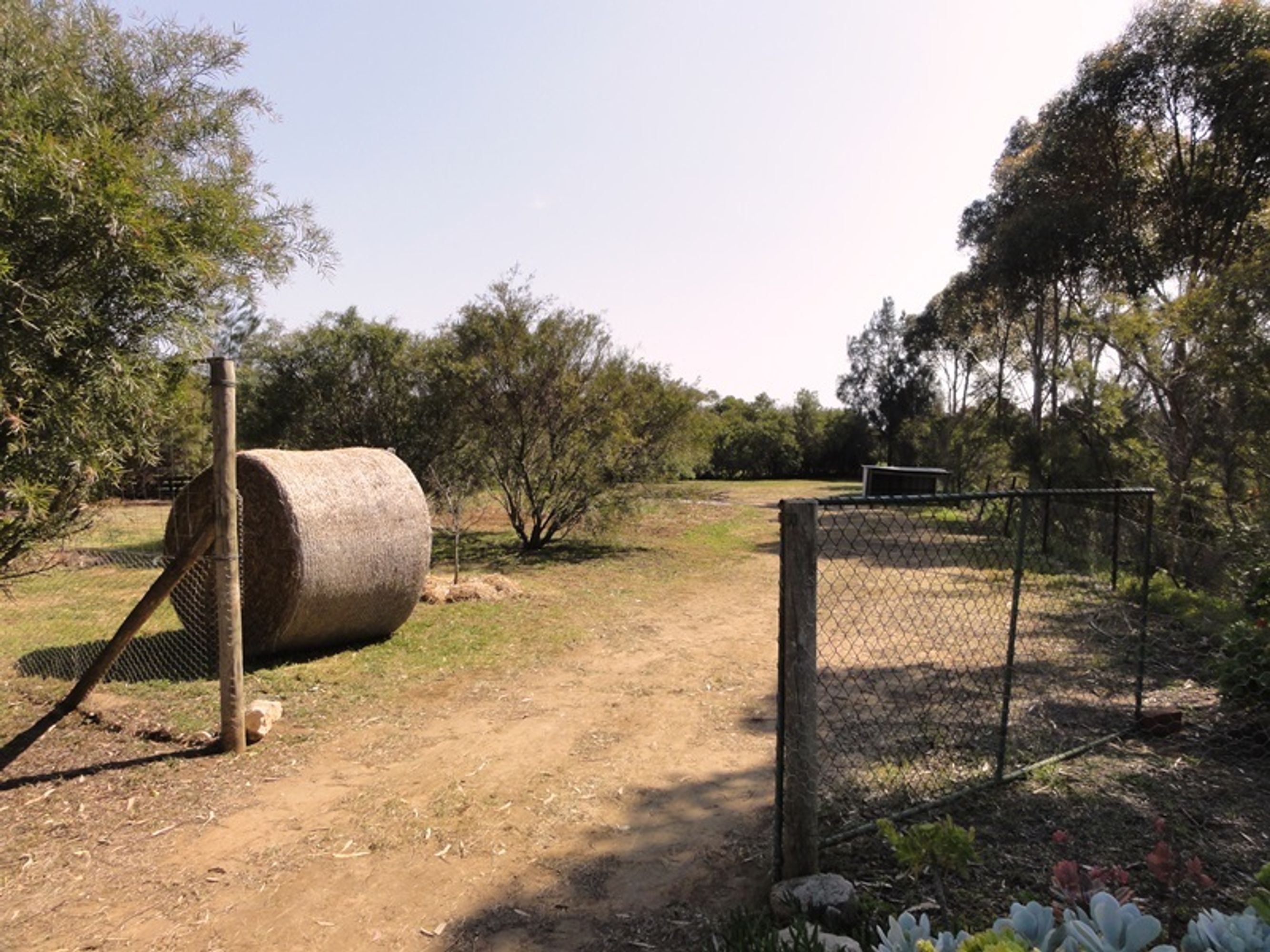 47 Roper Rd, Strathalbyn, SA 5255, Strathalbyn - Thumbnail 6