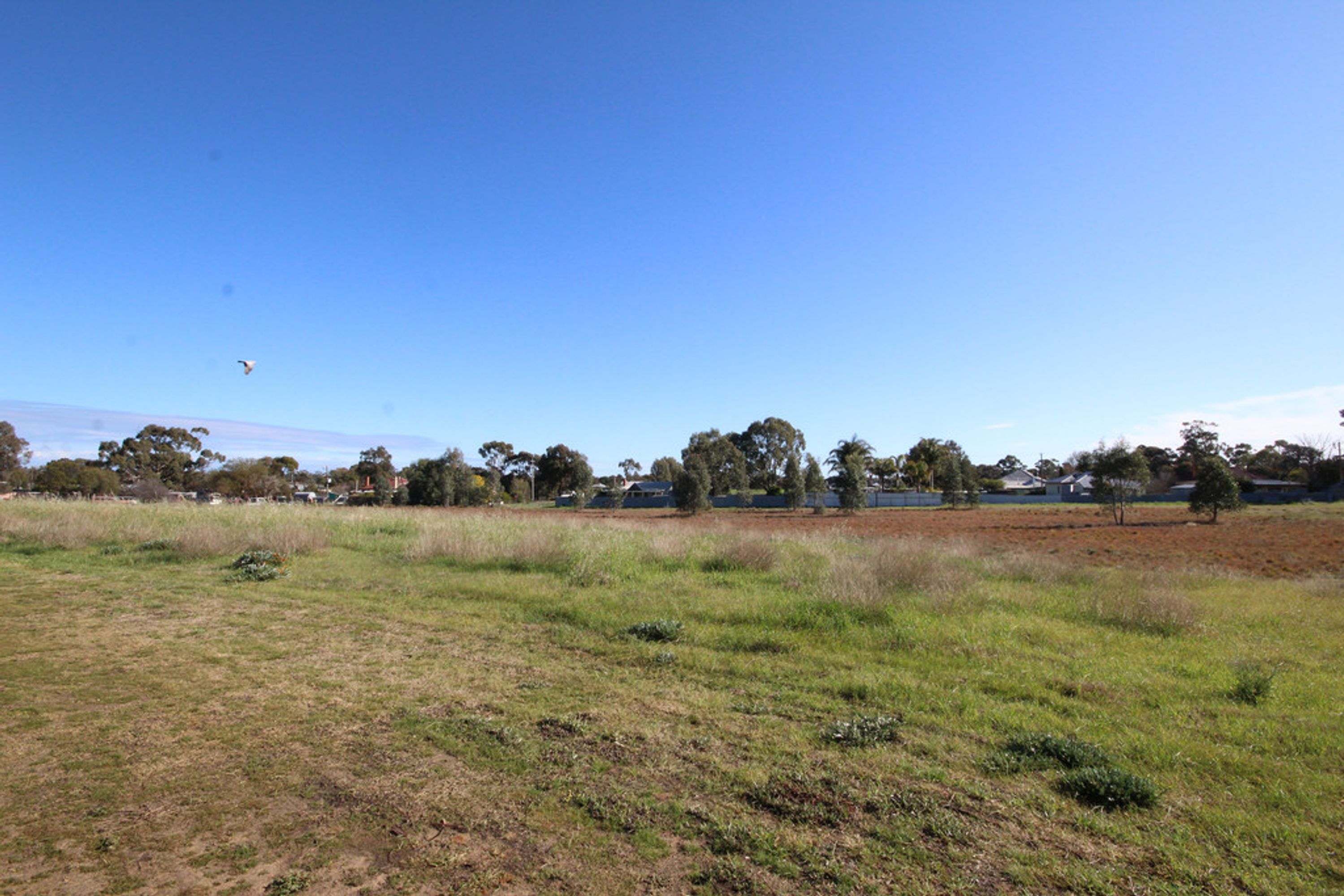 6-23 6-23 Whitton Street, Dimboola VIC 3414, Dimboola - Thumbnail 5