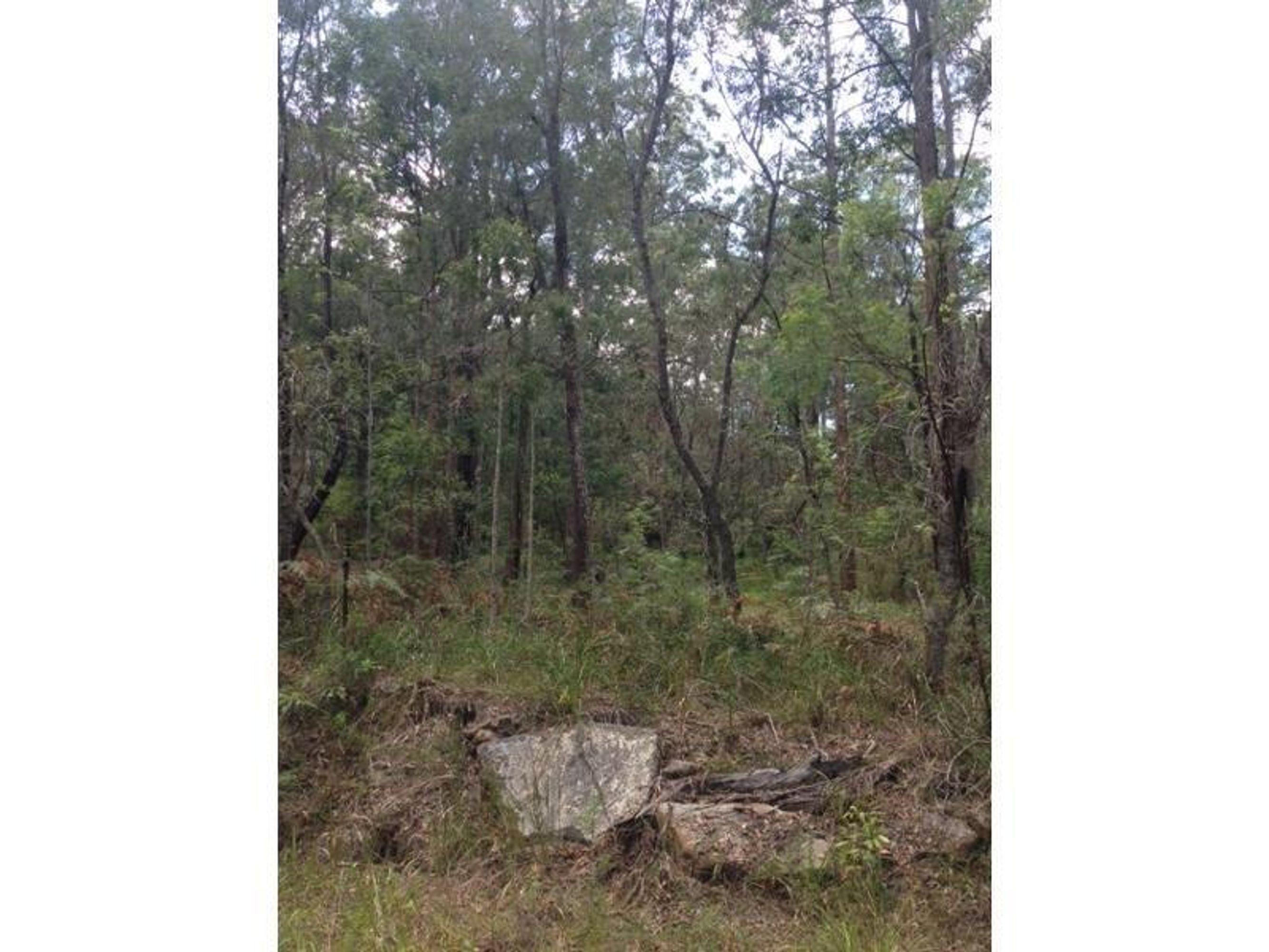 970 Kungala Road, Lanitza - Thumbnail 7