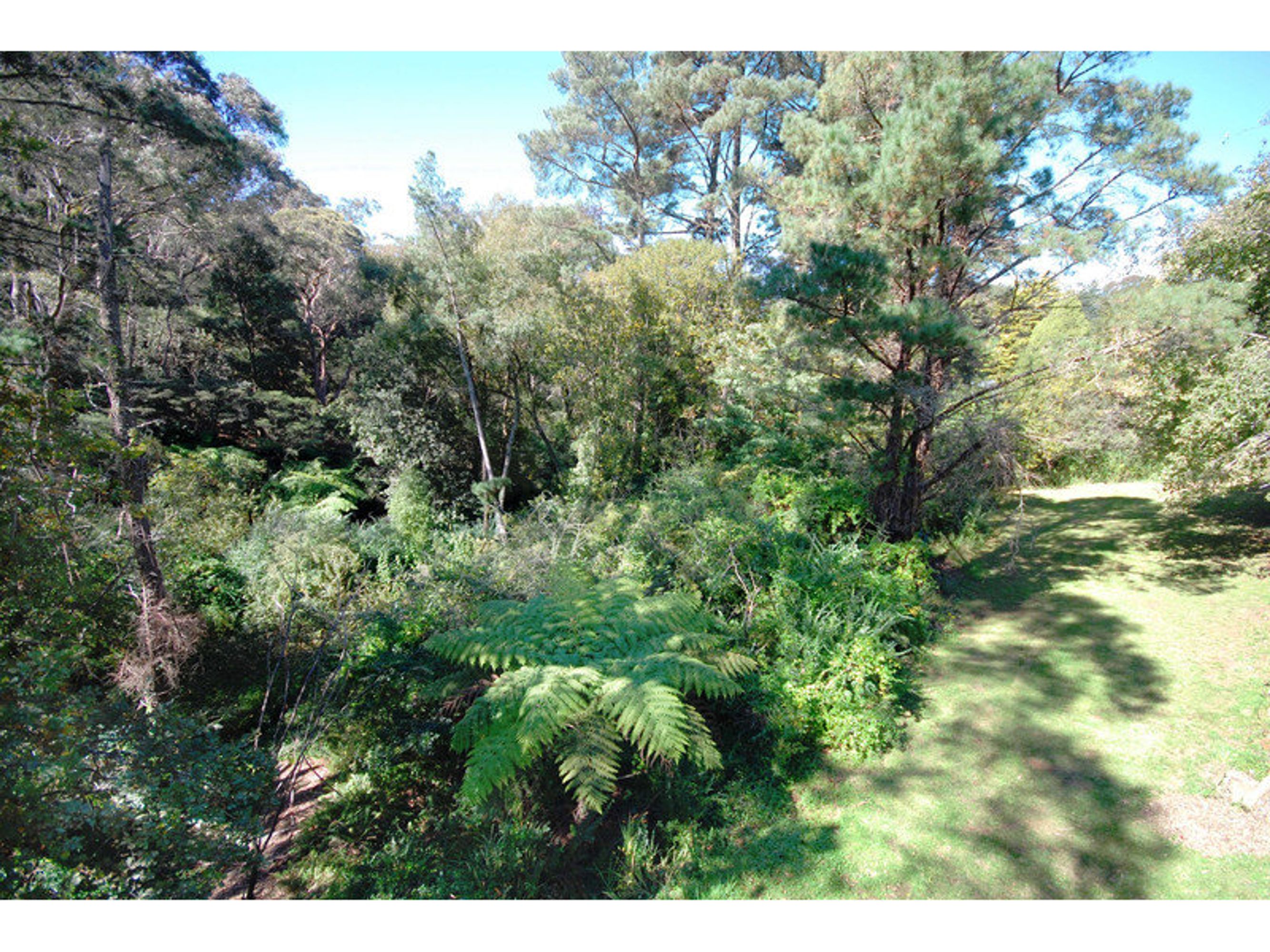 10D Warne Street, Katoomba - Thumbnail 6
