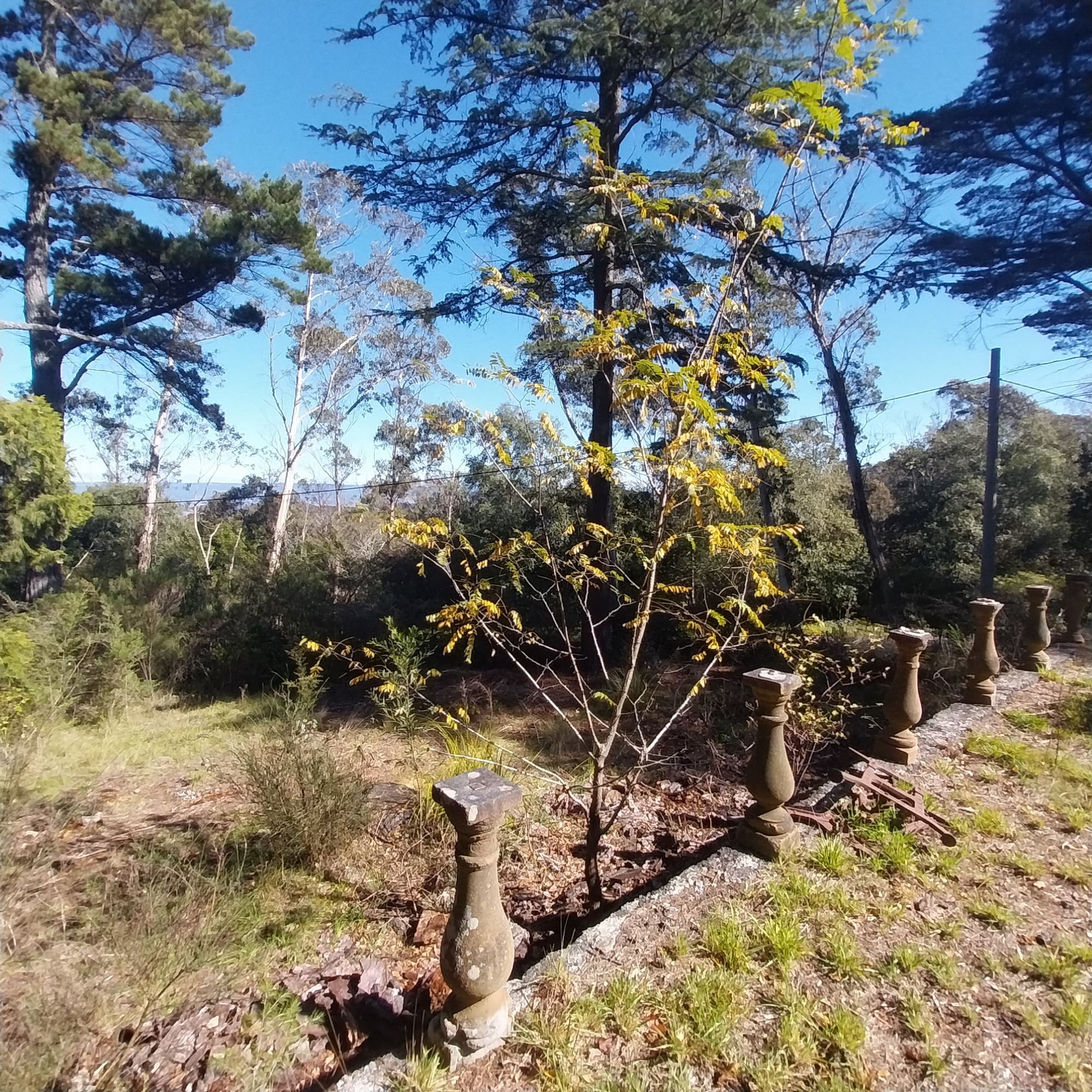 Lot 2 45-47 Great Western Highway, Mount Victoria - Thumbnail 6