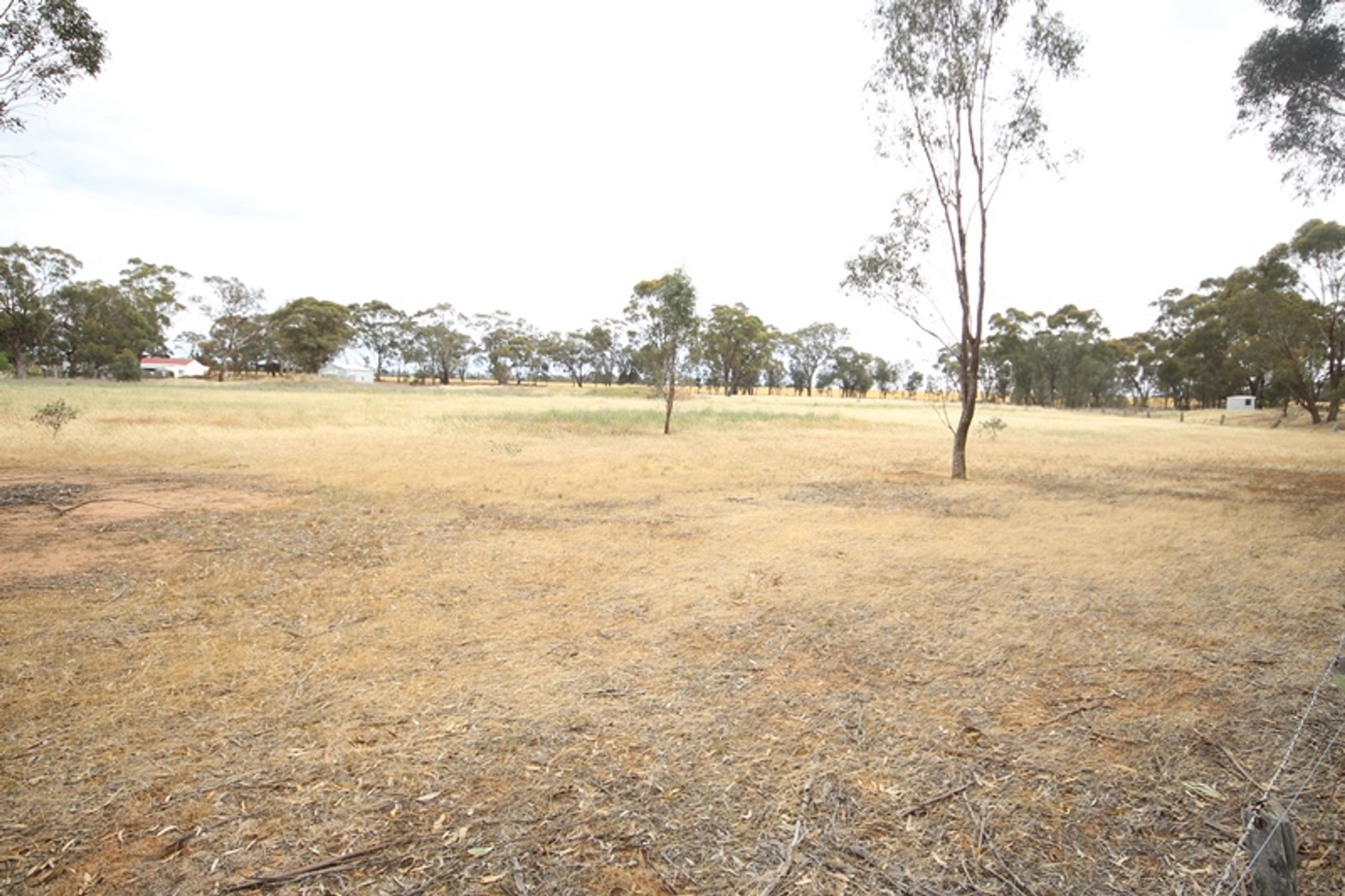 41 Wonwondah-Toolondo Road, Wonwondah VIC 3401, Wonwondah - Thumbnail 3