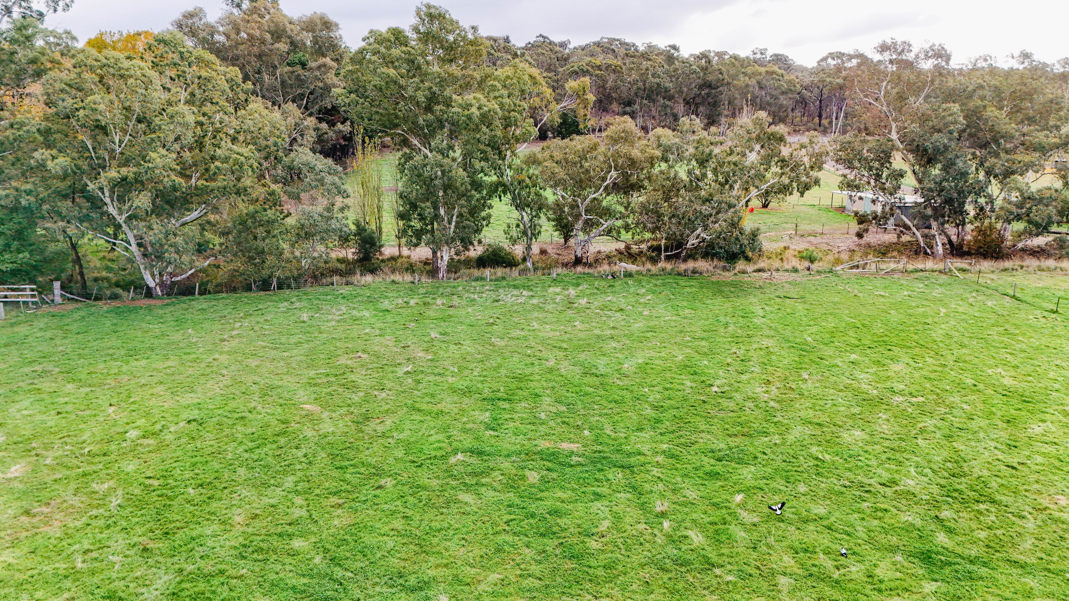 230 Nankervis Road, Mandurang, Mandurang - Thumbnail 2