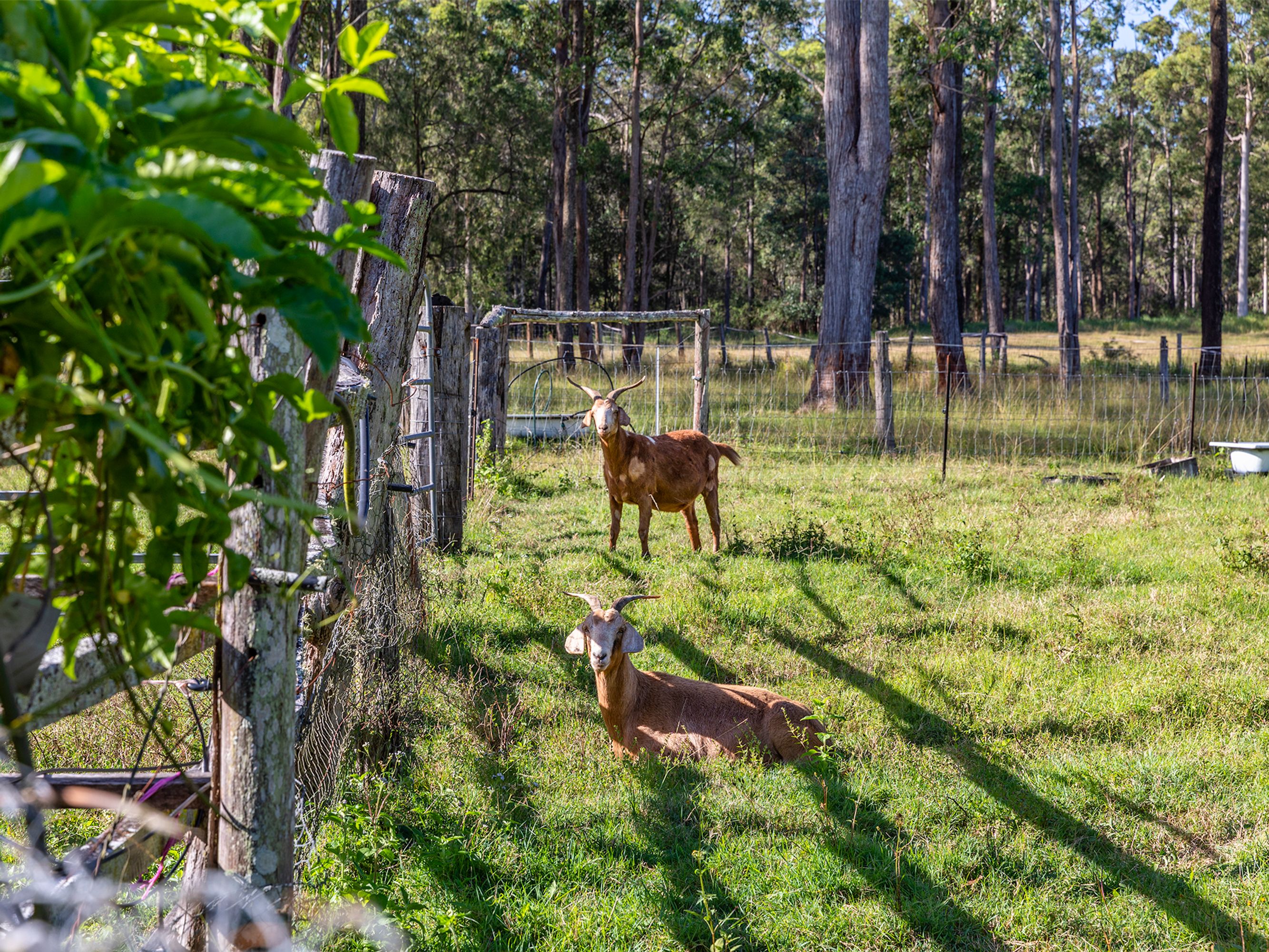 522 Ashby Tullymorgan Road, Ashby Heights - Thumbnail 3