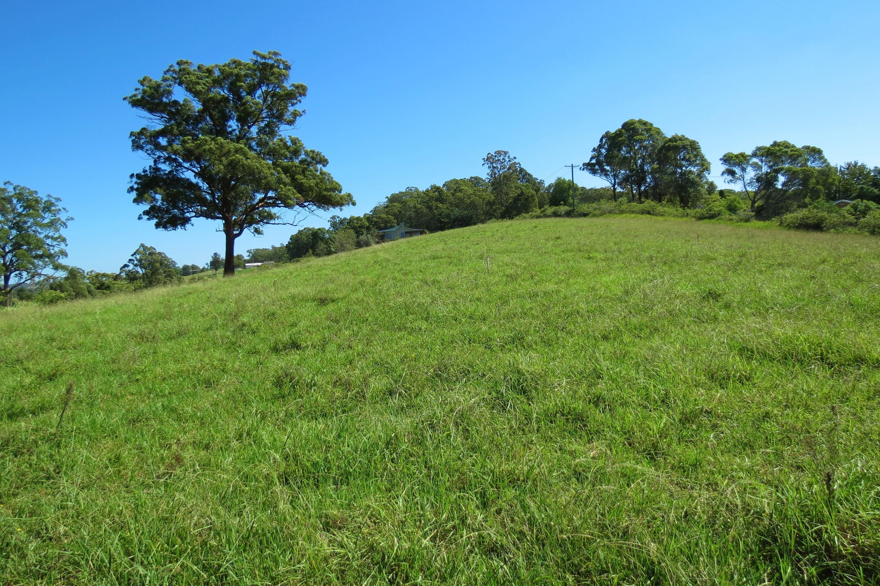 Tinonee, Tinonee - Thumbnail 6