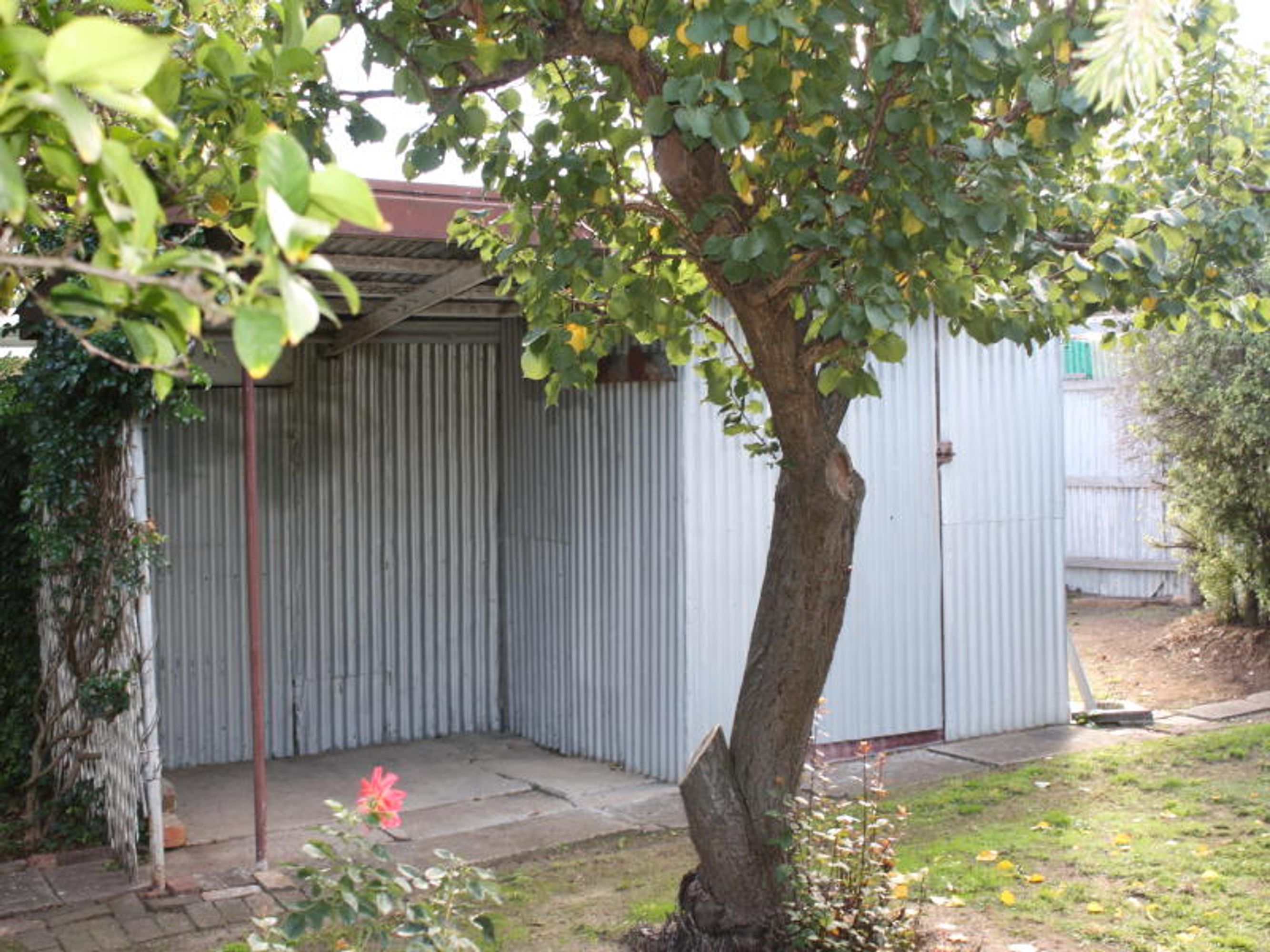 20 River Road, Horsham VIC 3400, Horsham - Thumbnail 6