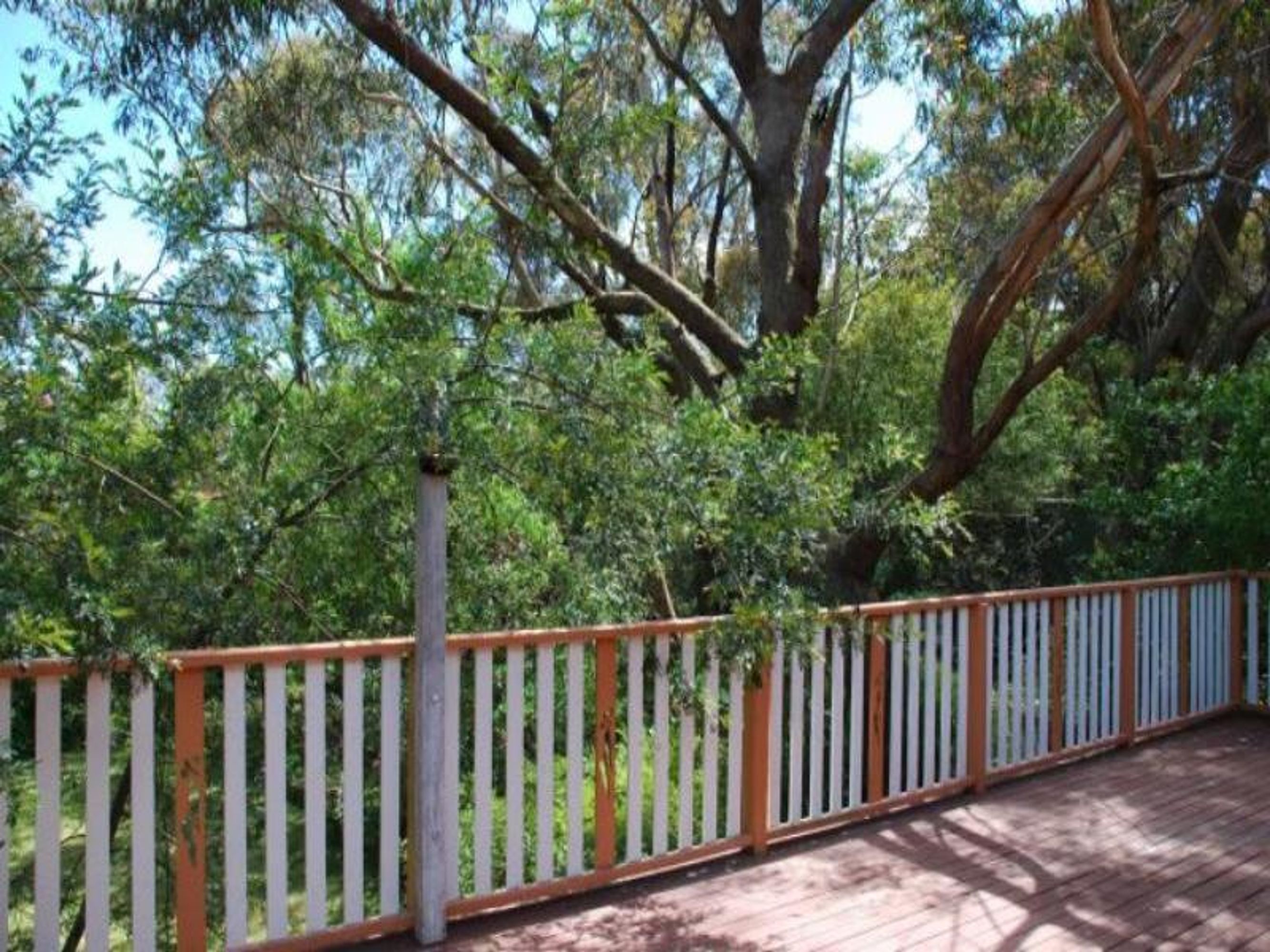 14 Willow Park Ave, Leura - Thumbnail 2