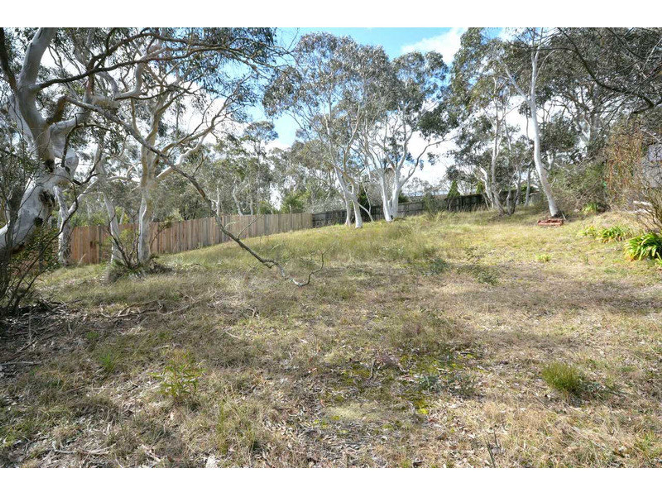 19 First Avenue, Katoomba - Thumbnail 3