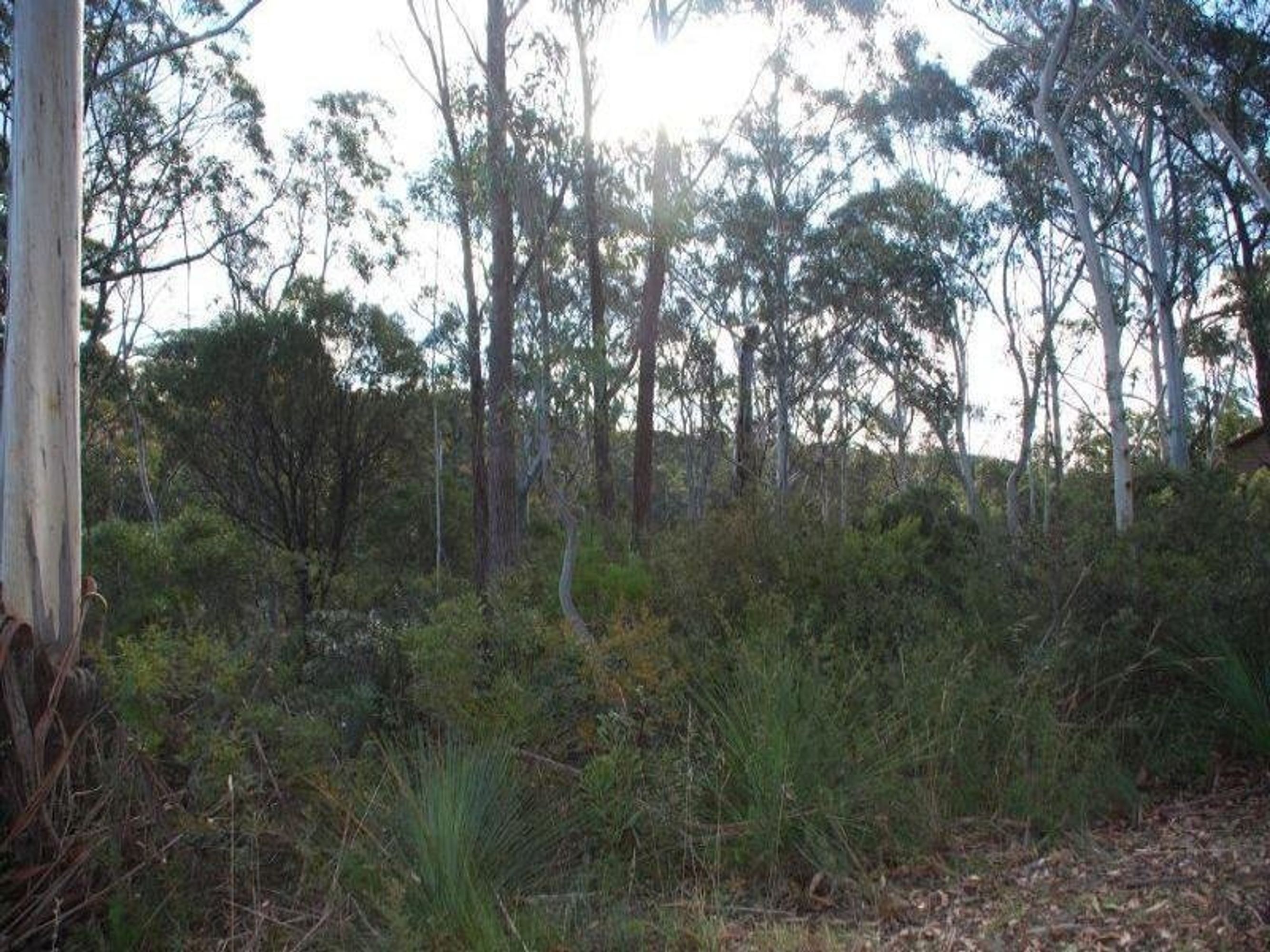 65 Twynam Street, Katoomba - Thumbnail 2