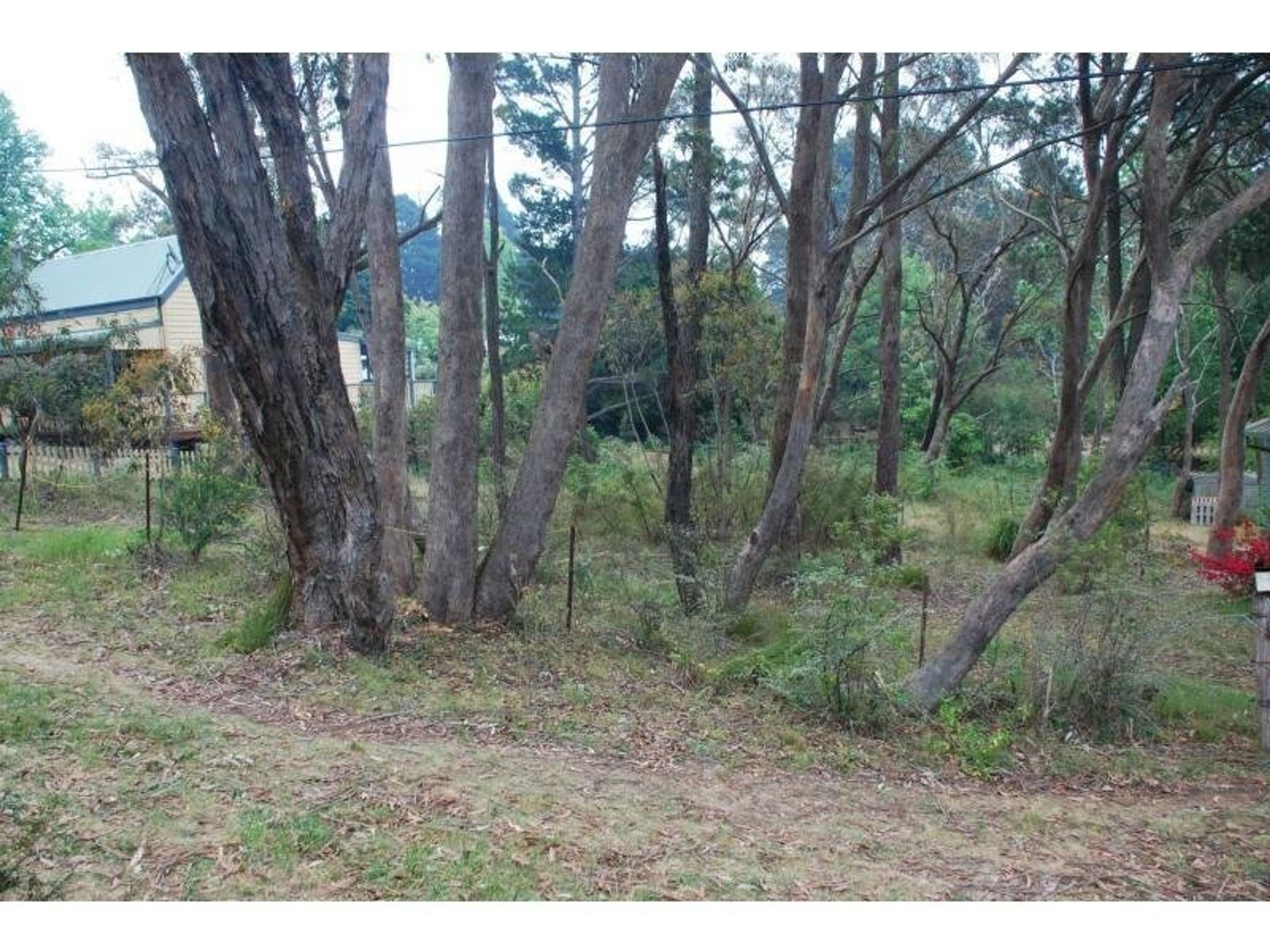 14 Minni Ha Ha Road, Katoomba - Thumbnail 2