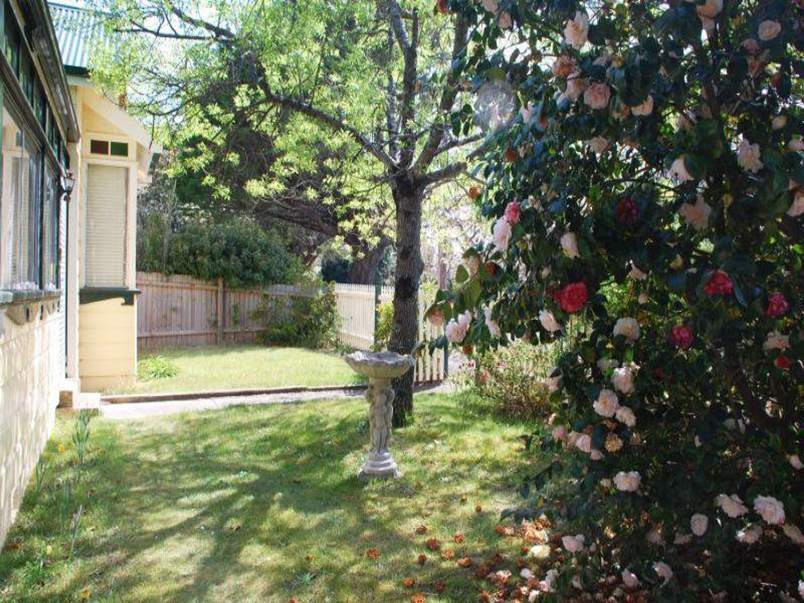 3 Warwick St, Katoomba - Thumbnail 3