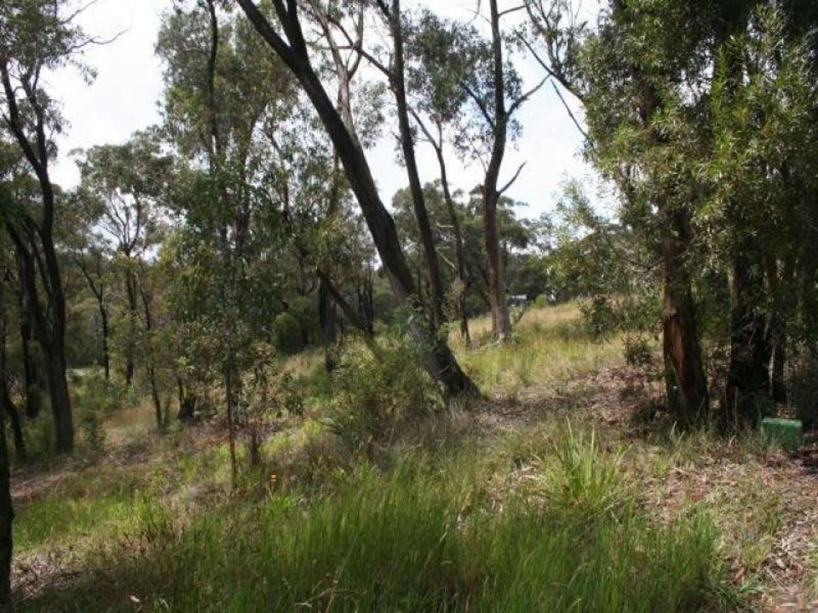 6 Lomandra Place, Katoomba - Thumbnail 3