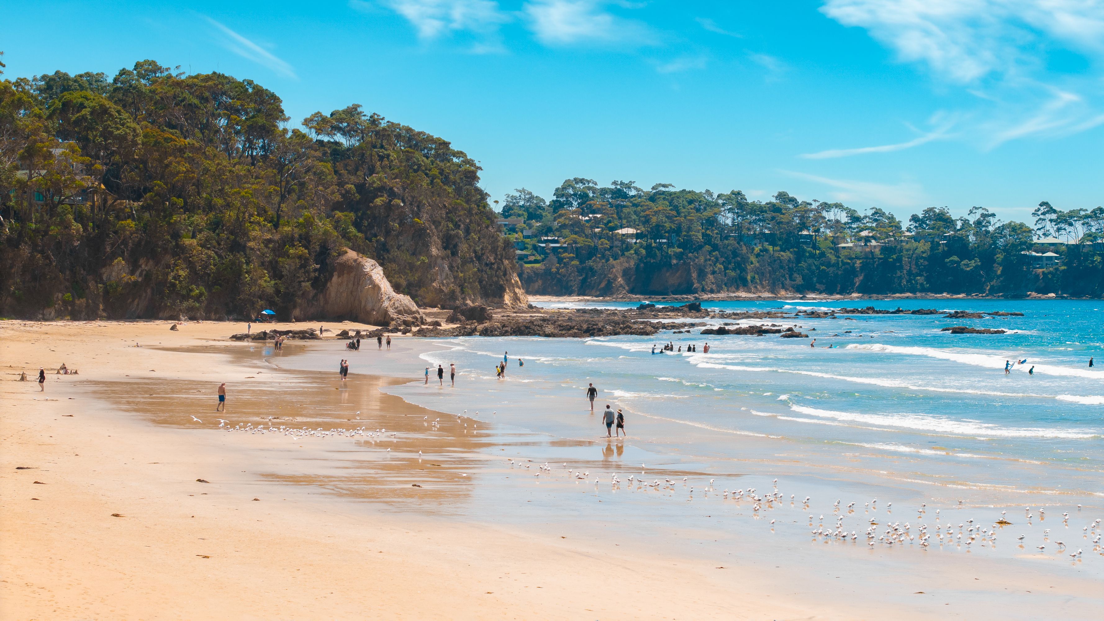 5 Leslie Place, Sunshine Bay - Thumbnail 6