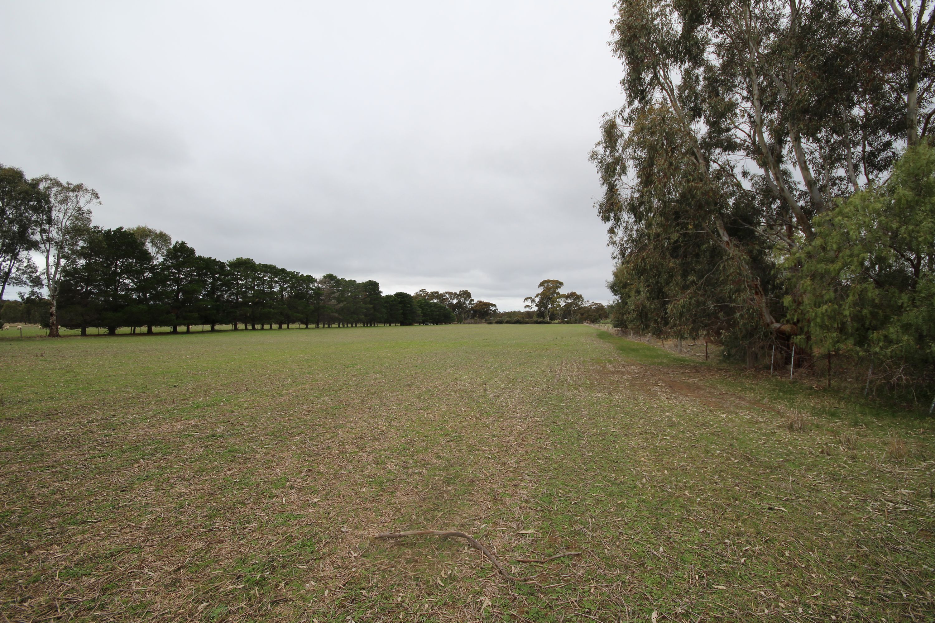 98 Murray Road, Carapooee VIC 3477, Carapooee - Thumbnail 7