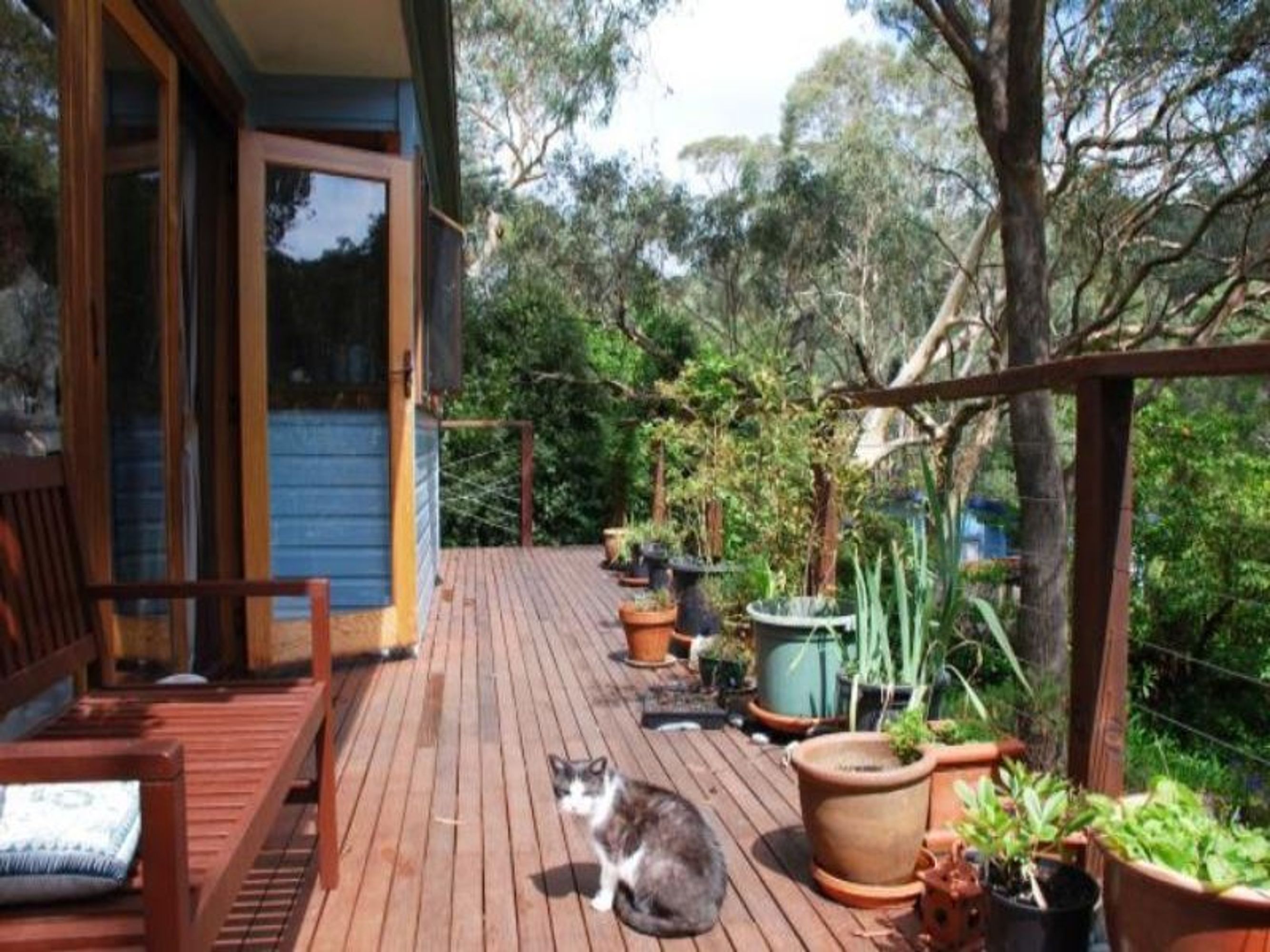 58 Fifth Ave, Katoomba - Thumbnail 3