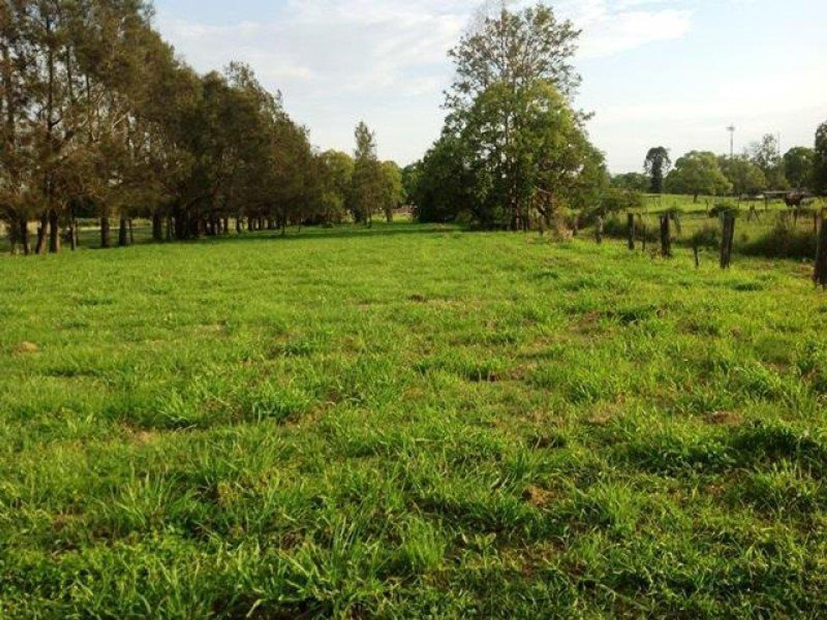Lot 309 & 312/Lot 309 & 312/309-312 Vere Street, South Grafton - Thumbnail 7