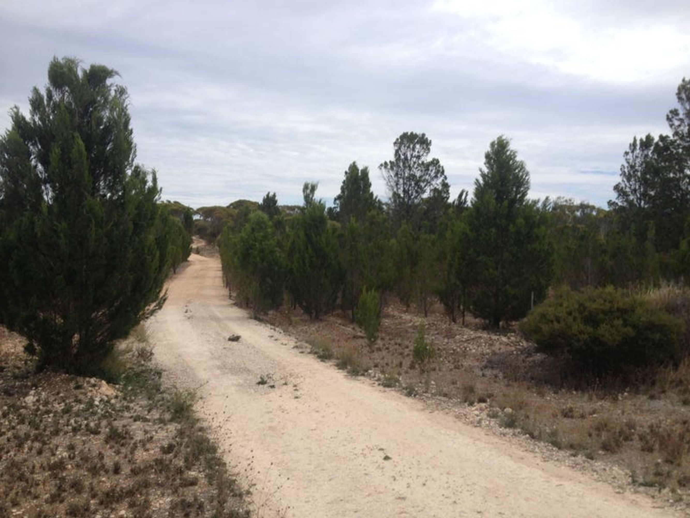 Lot 19 Ferries McDonald Road, Monarto South, SA 5254, Monarto South - Thumbnail 2