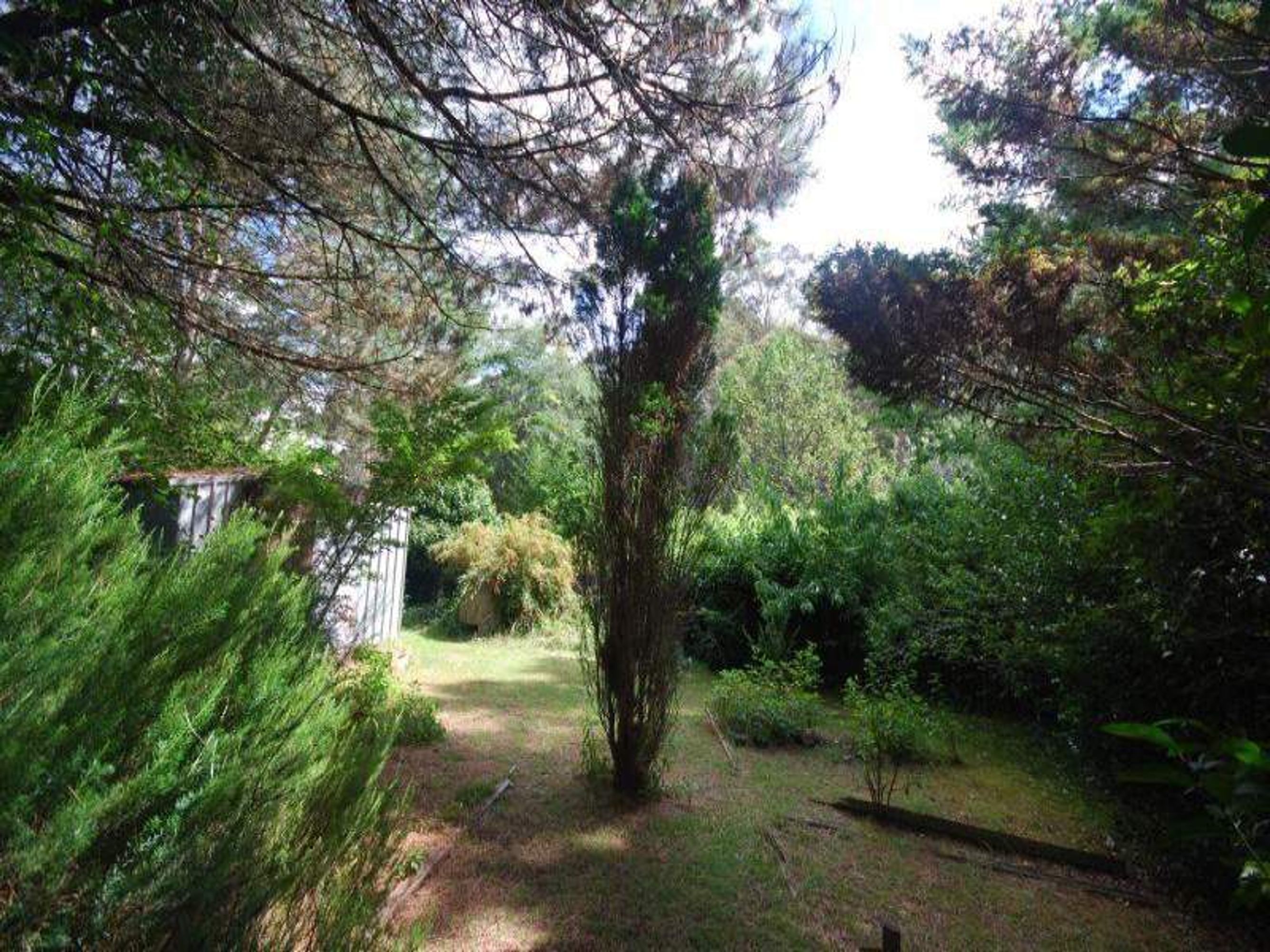 241 Katoomba St, Katoomba - Thumbnail 3