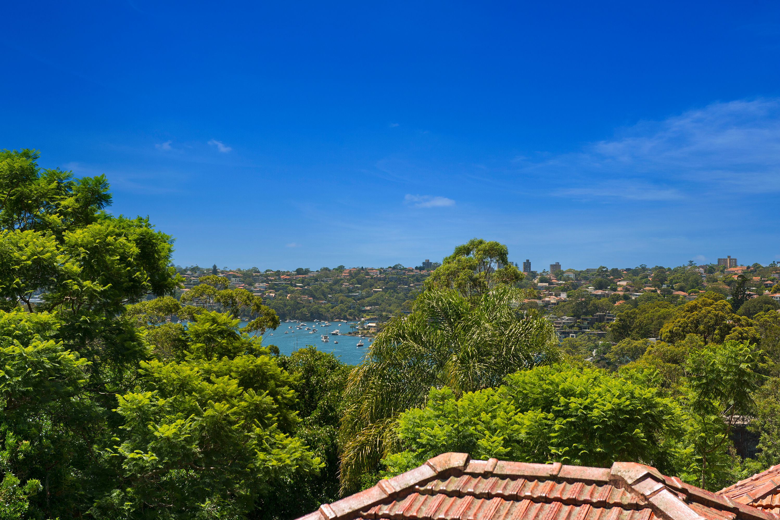 1/59 Pine Street, Cammeray - Thumbnail 3