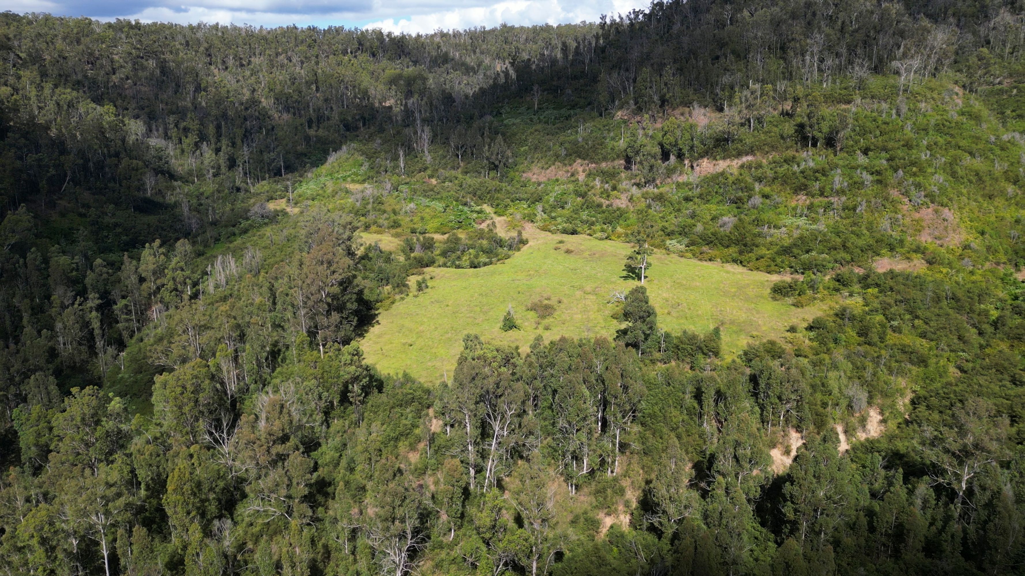 3293 Armidale Road, Blaxlands Creek - Thumbnail 6