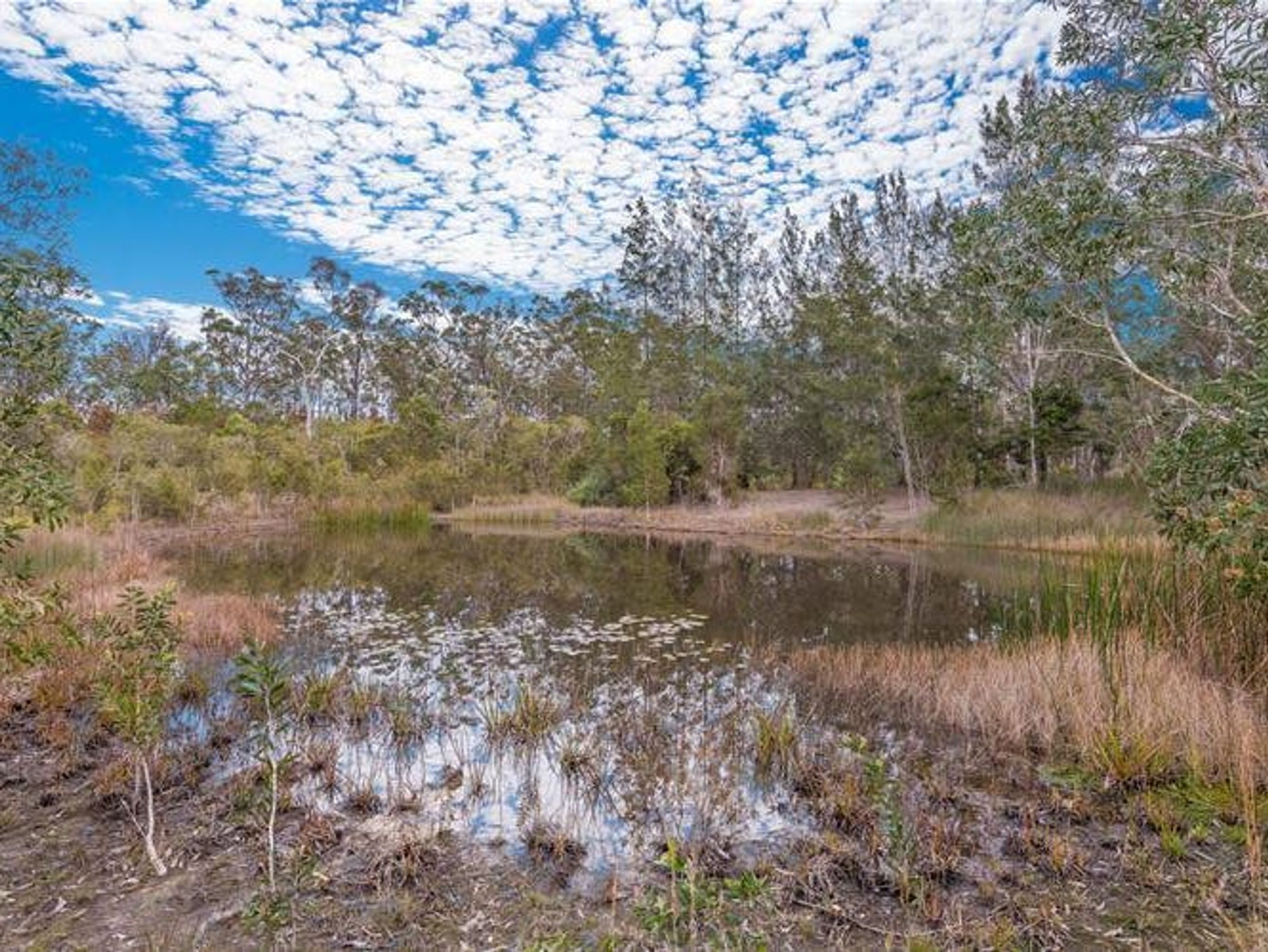 281 Red Root Road, Pillar Valley - Thumbnail 7