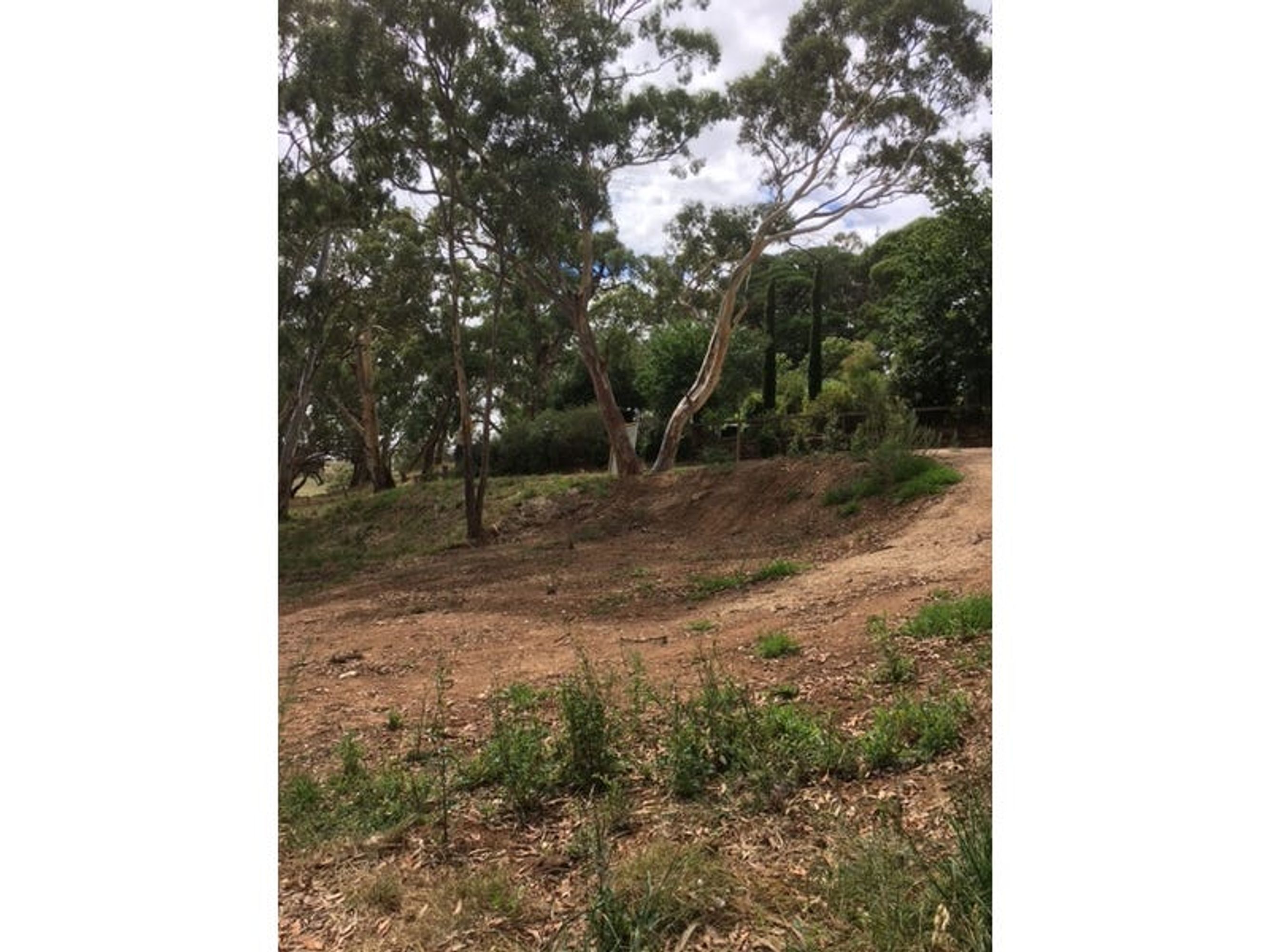 3 Gratwick Street, Echunga, SA 5153, Echunga - Thumbnail 5