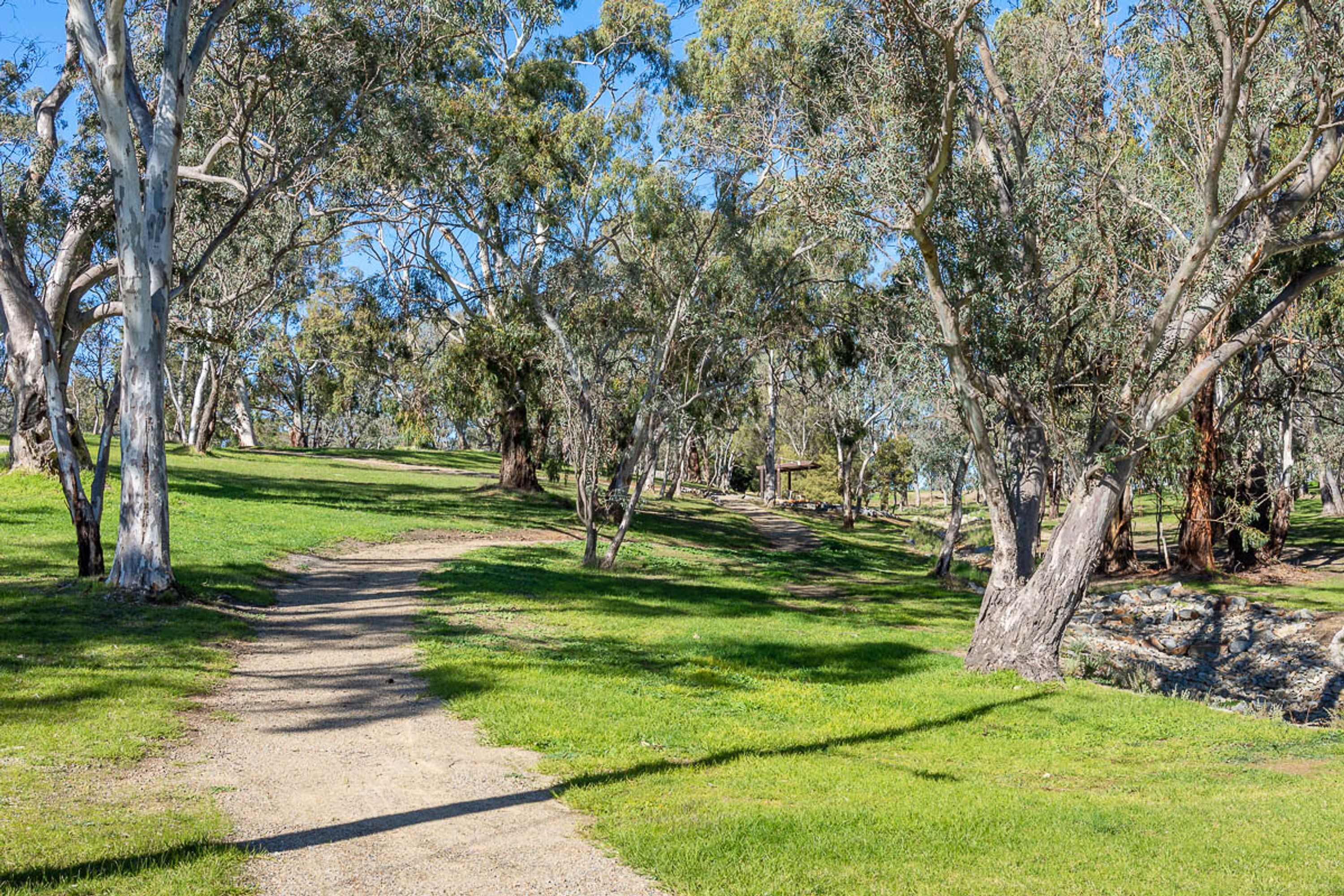 52 Caledonia Avenue, Woodside, SA 5244, Woodside - Thumbnail 8