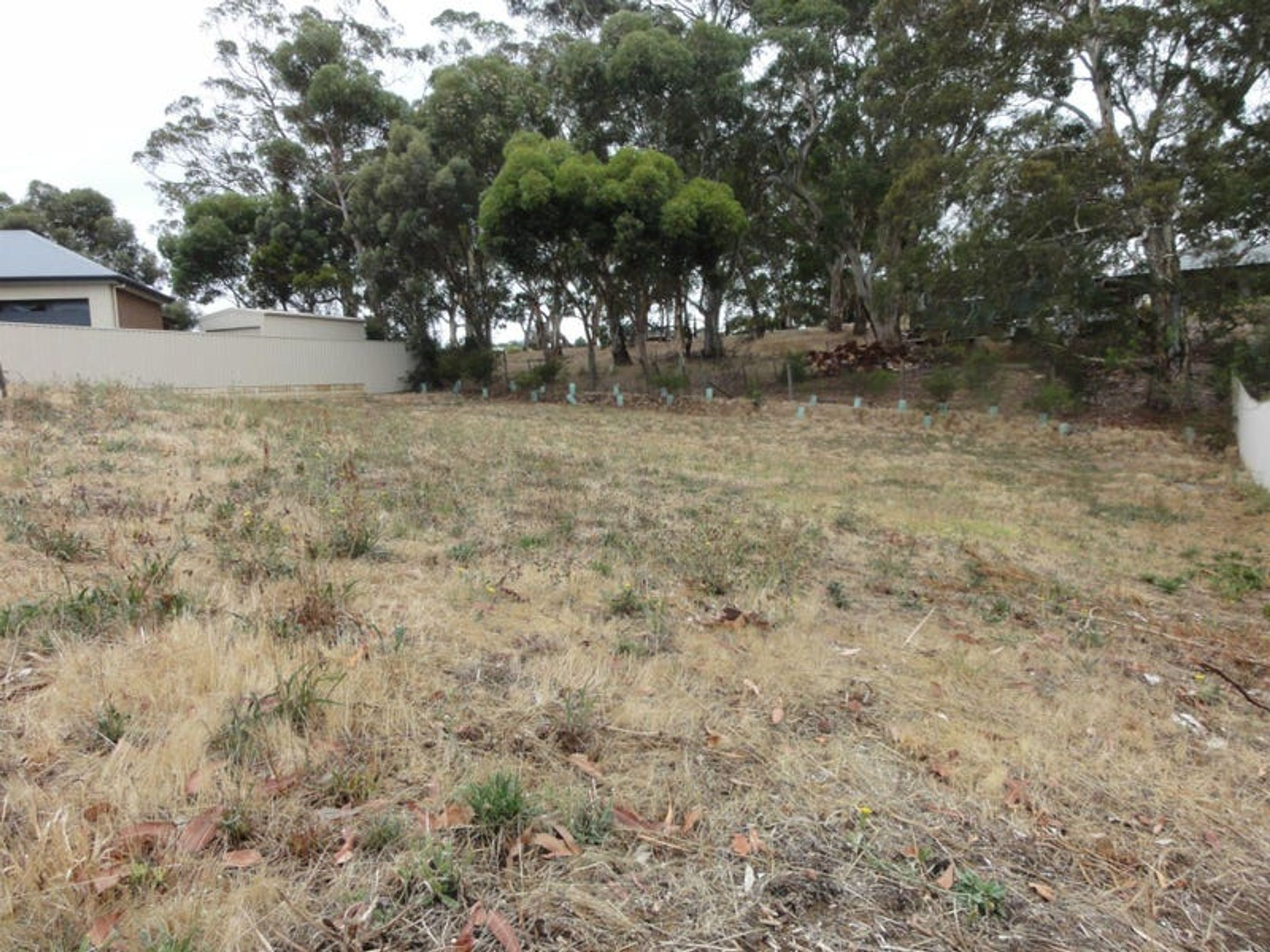 24 Hillcrest Court, Littlehampton, SA 5250, Littlehampton - Thumbnail 2