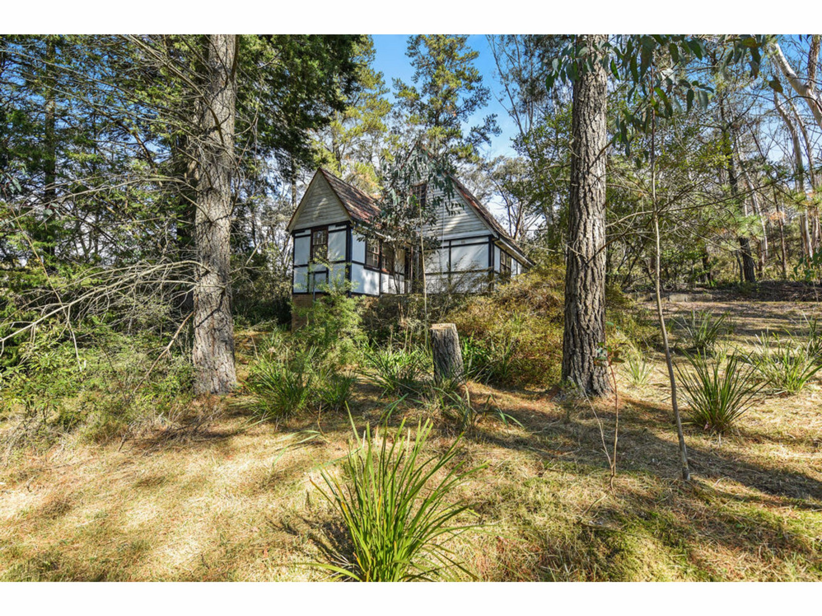 57-59 Wilson Street, Katoomba - Thumbnail 3