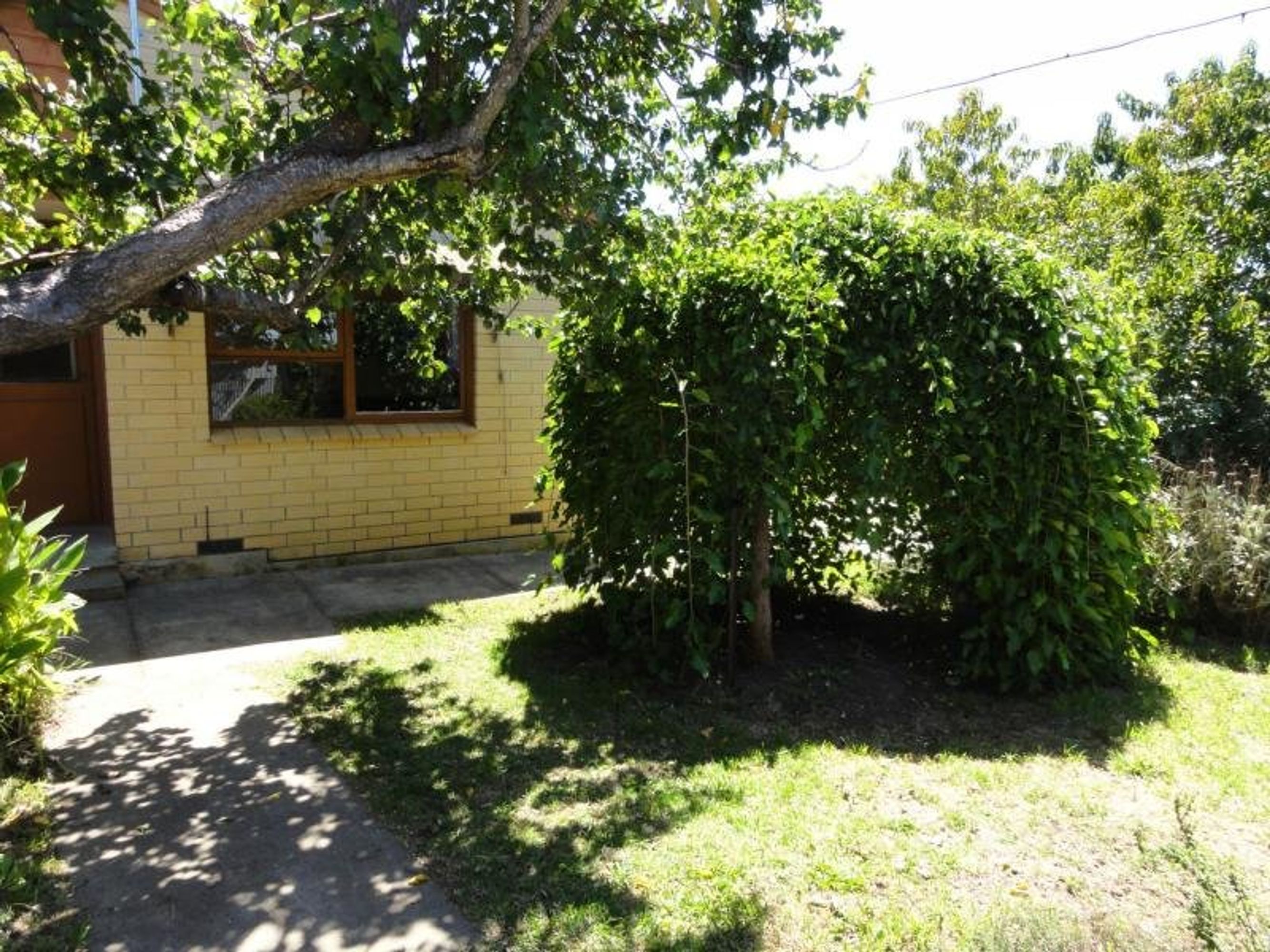 1 Barratt Avenue, Mount Barker SA 5251, Mount Barker - Thumbnail 4