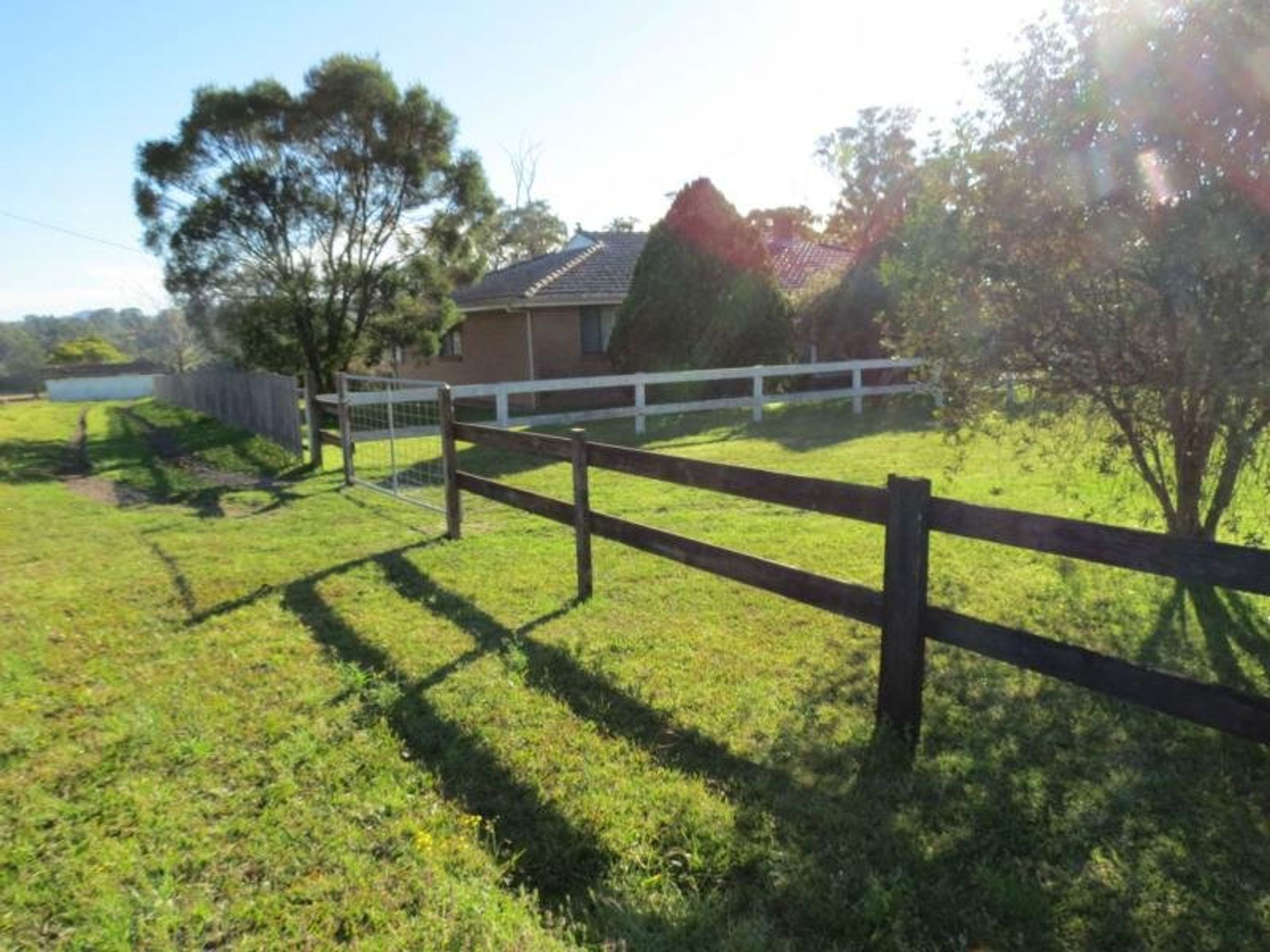Taree, Taree - Thumbnail 6