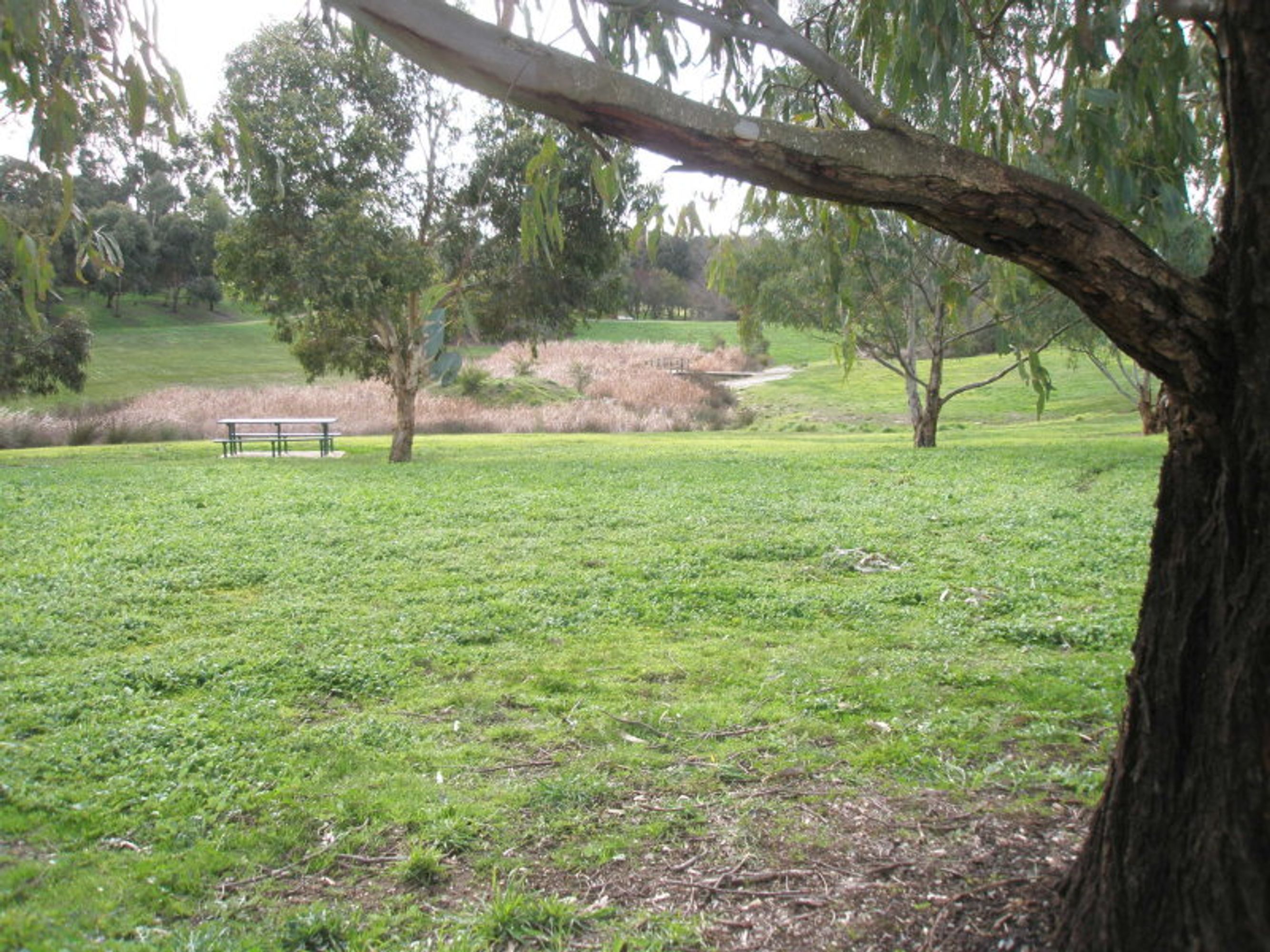 9 Chapman Crescent, Nairne, SA 5252, Nairne - Thumbnail 2