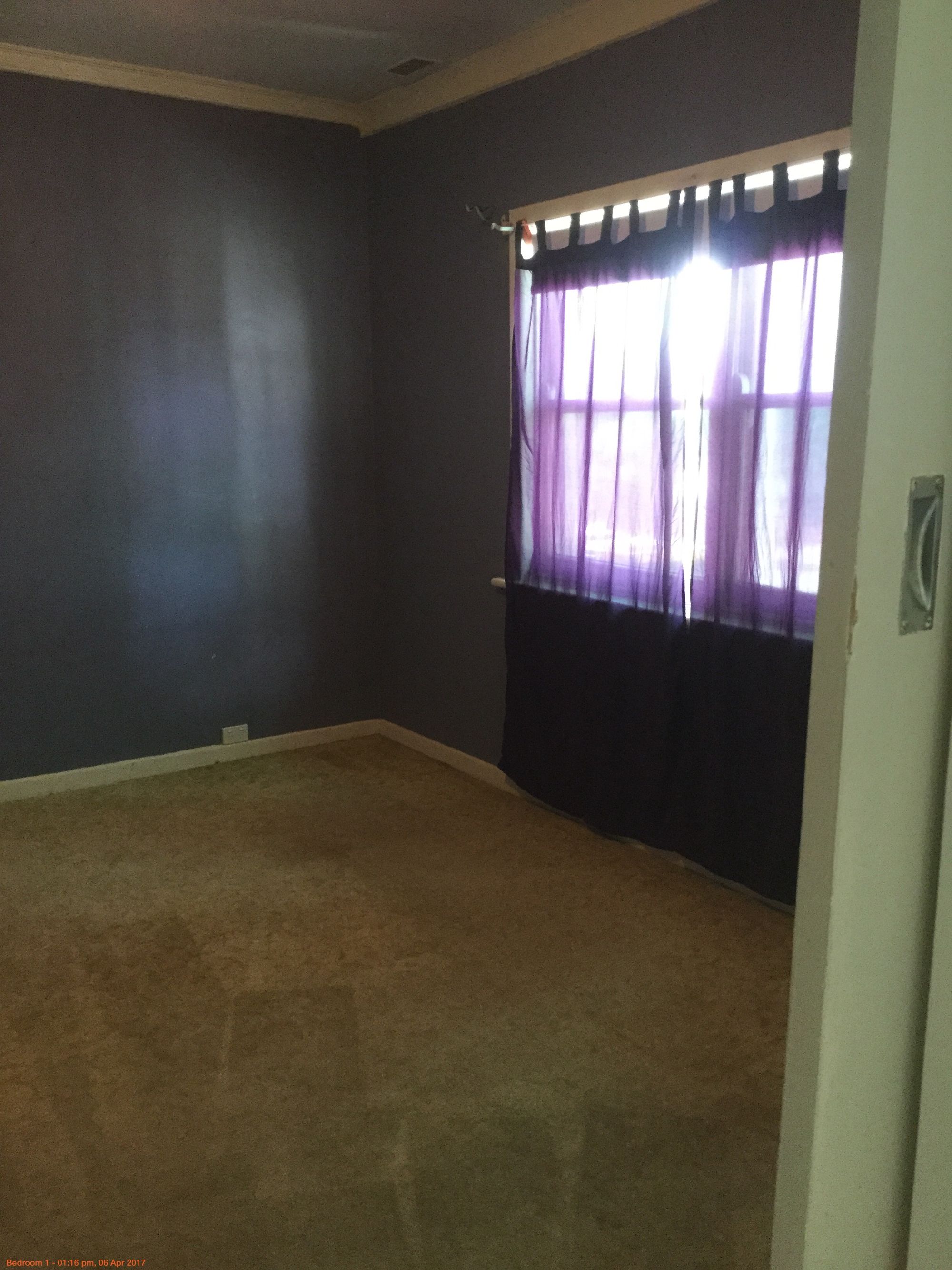 4 Palm Avenue, Horsham VIC 3400, Horsham - Thumbnail 2