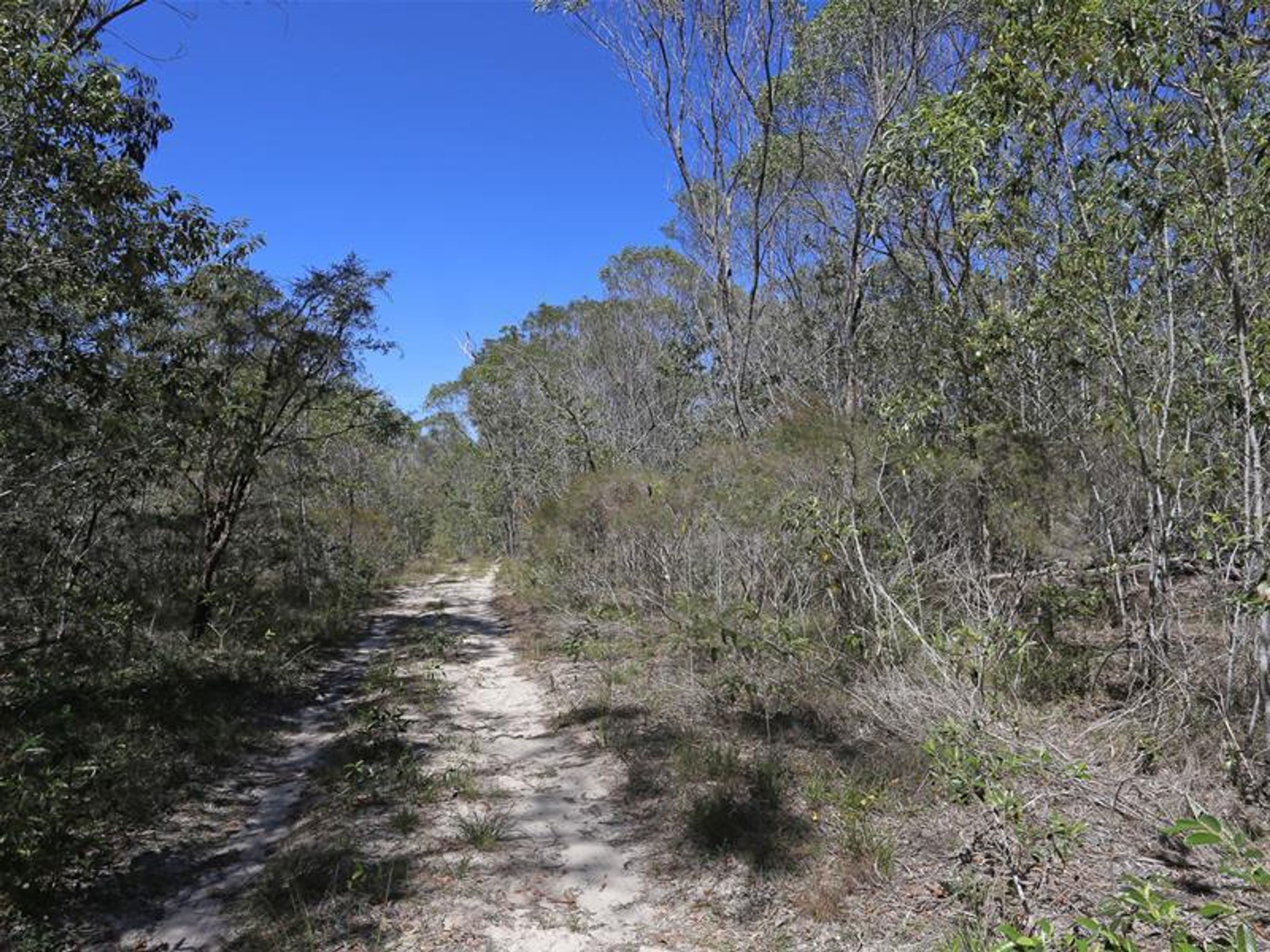 1412 Clarence Way, Whiteman Creek - Thumbnail 7