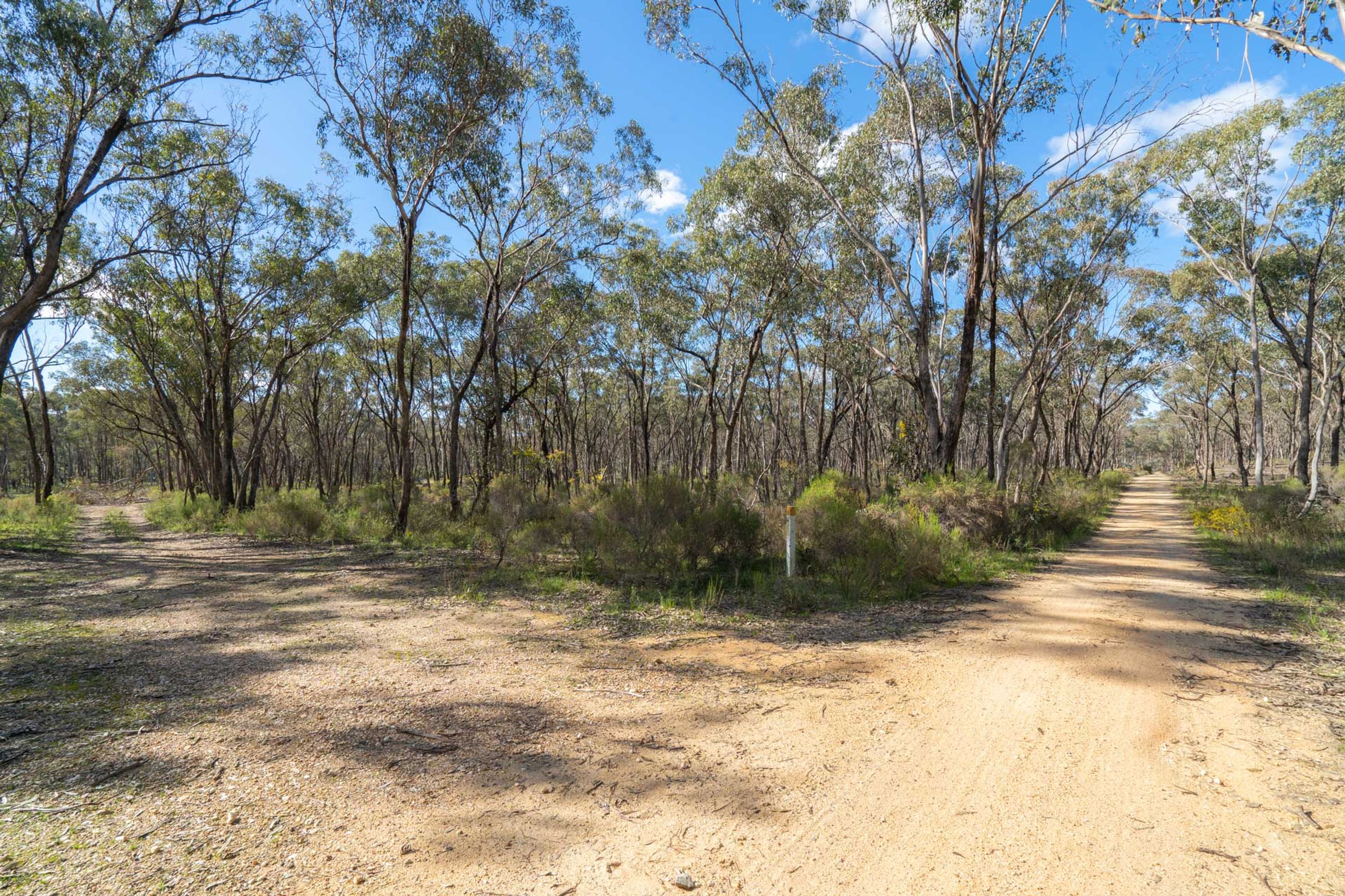 2068 McIvor Highway, Axedale, Axedale - Thumbnail 4