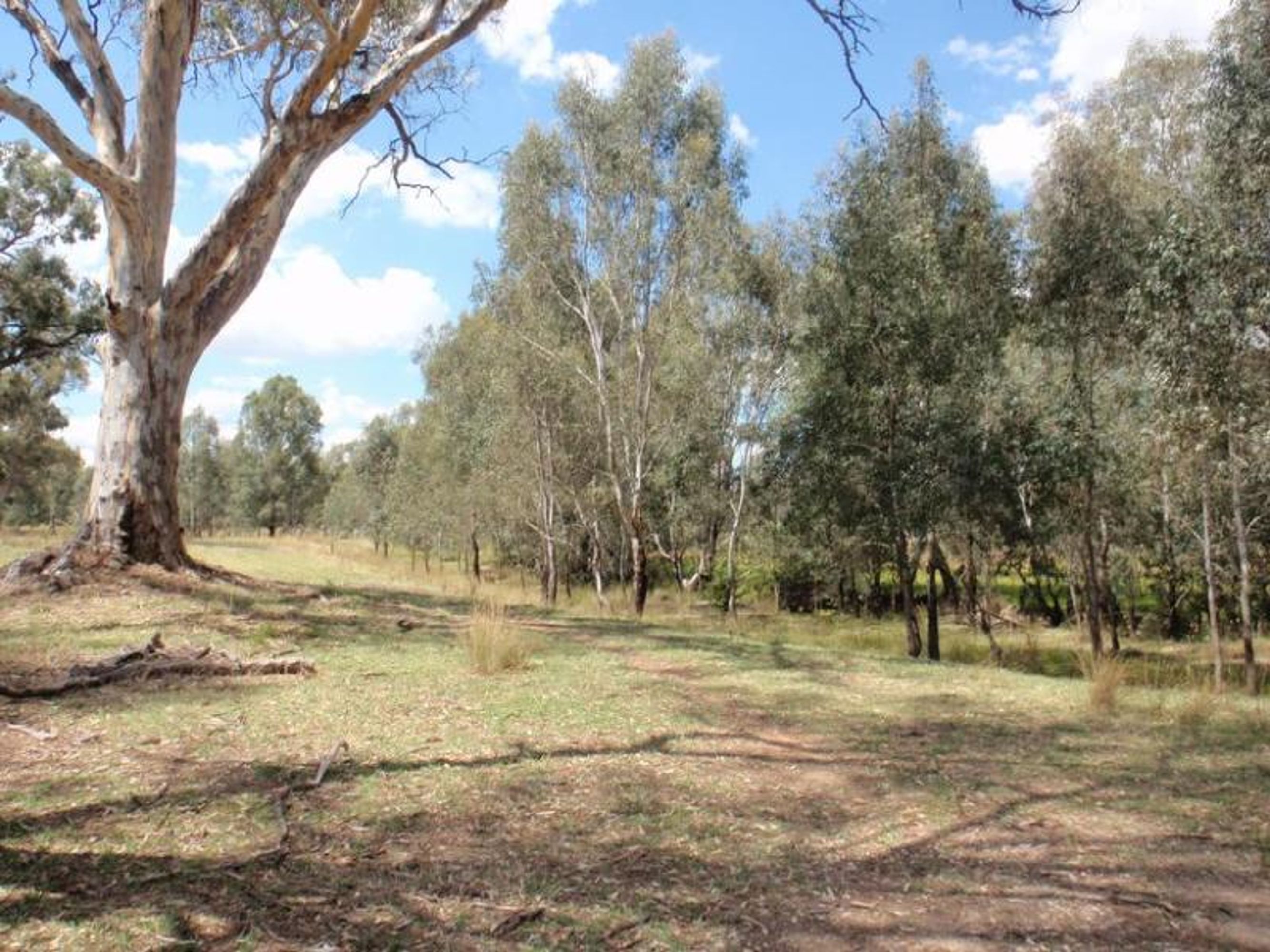 wangaratta, Wangaratta - Thumbnail 8