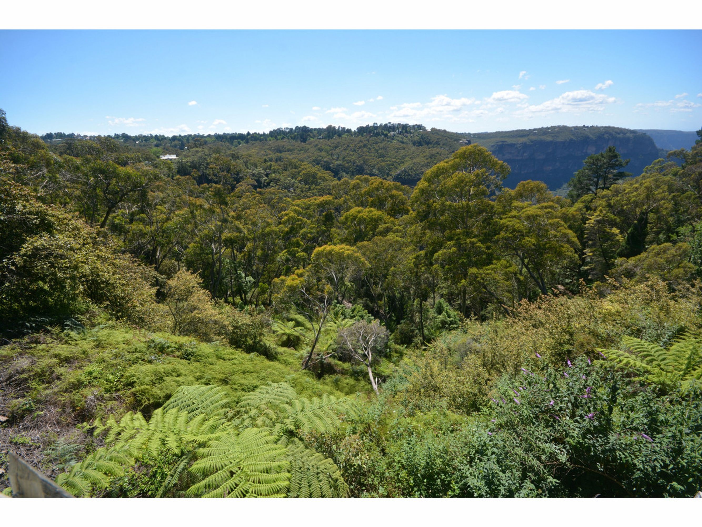 65 Cliff Drive, Katoomba - Thumbnail 7