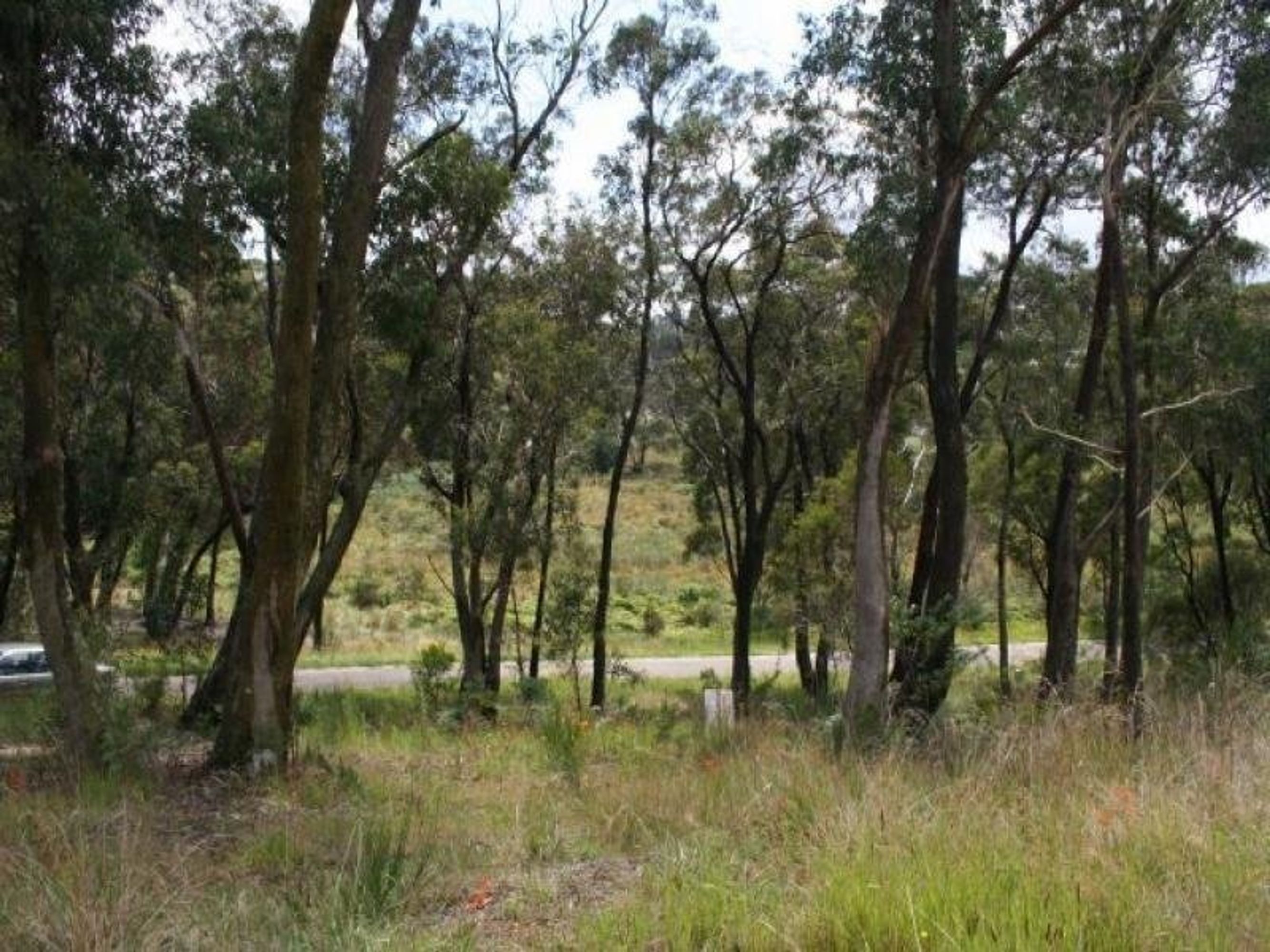 6 Lomandra Place, Katoomba - Thumbnail 2