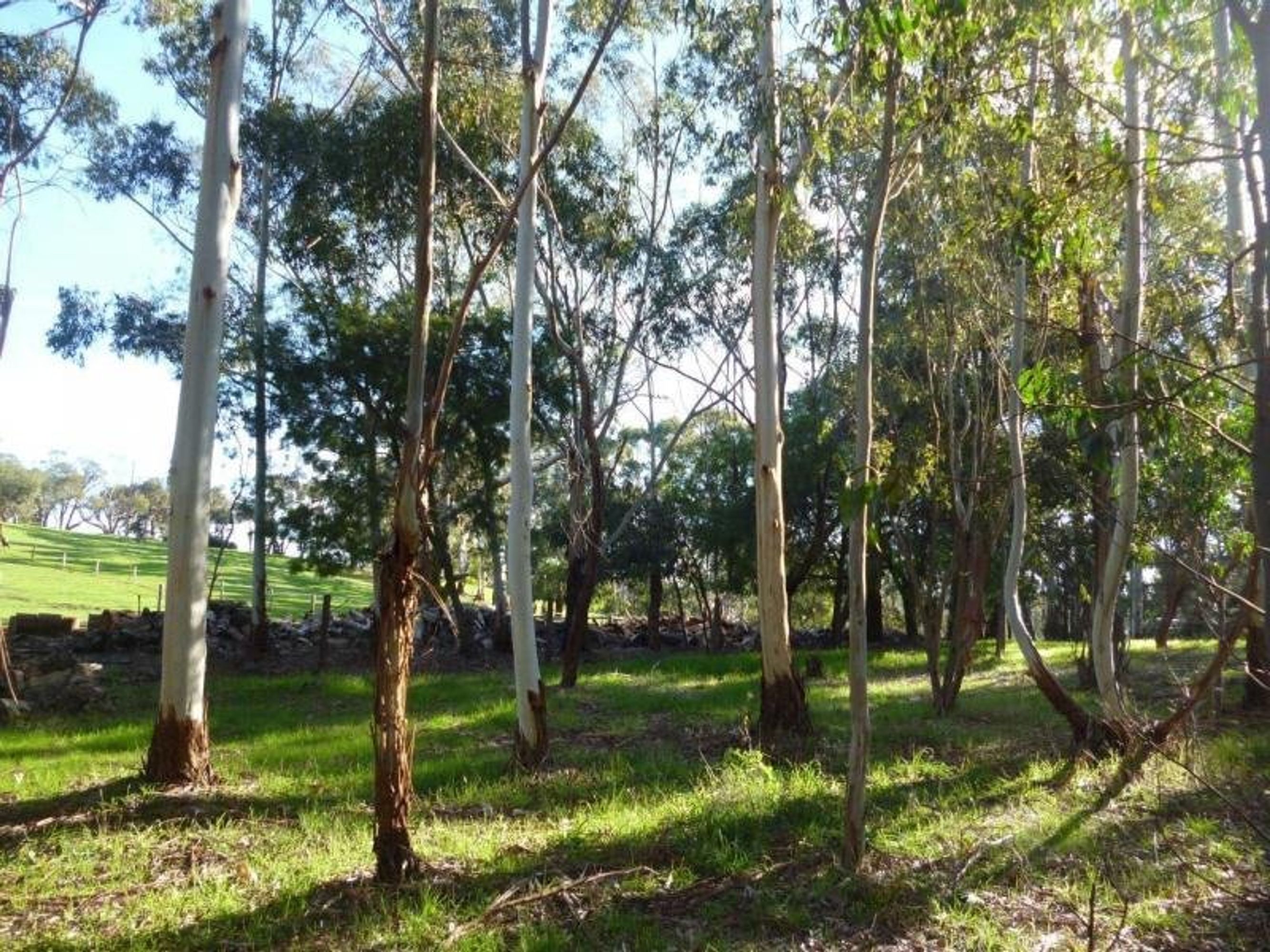 6/19 Davis Road, Macclesfield SA 5153, Macclesfield - Thumbnail 2