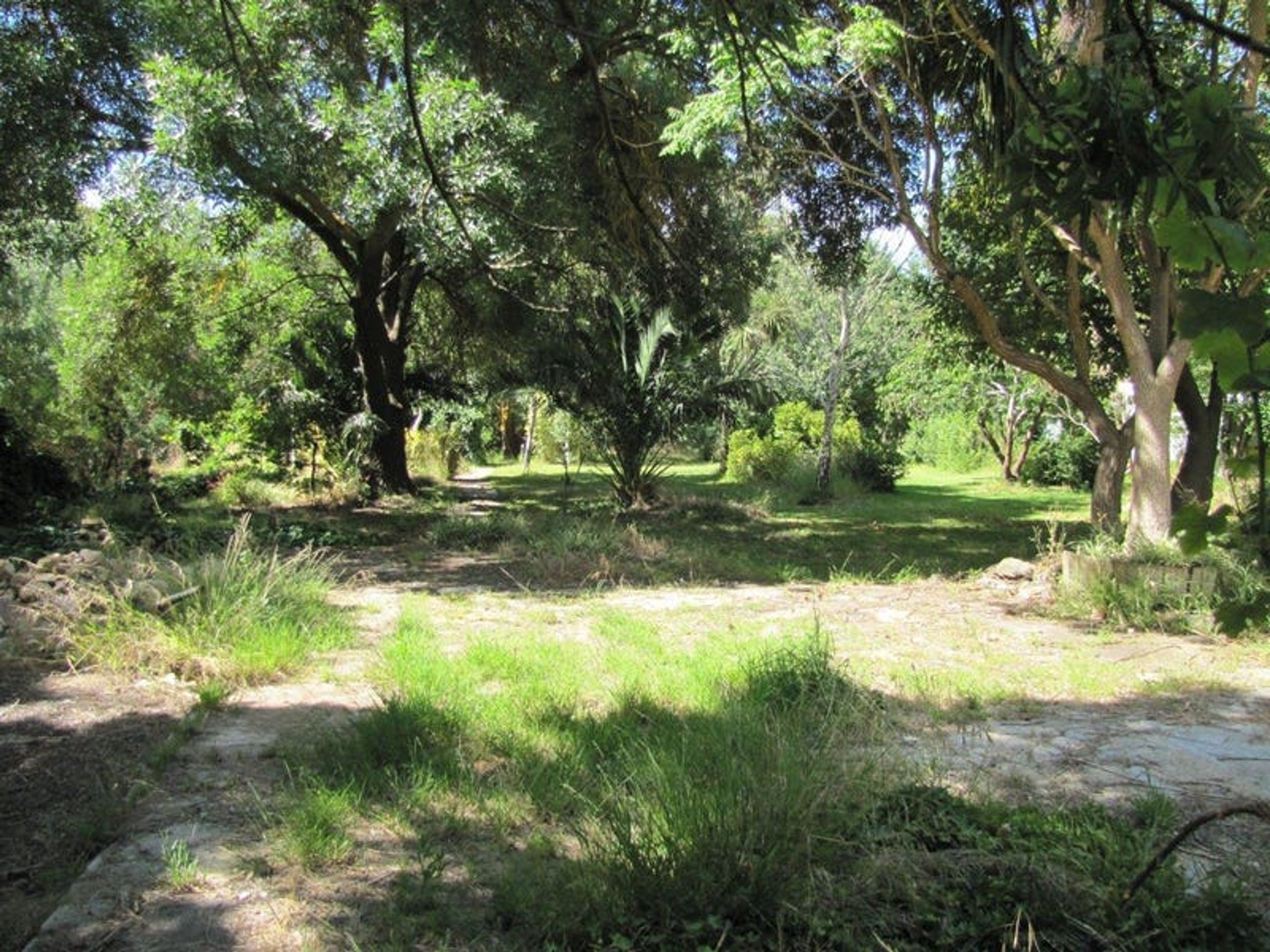 Lot 503, 12 Searle Street, Macclesfield, SA 5153, Macclesfield - Thumbnail 6