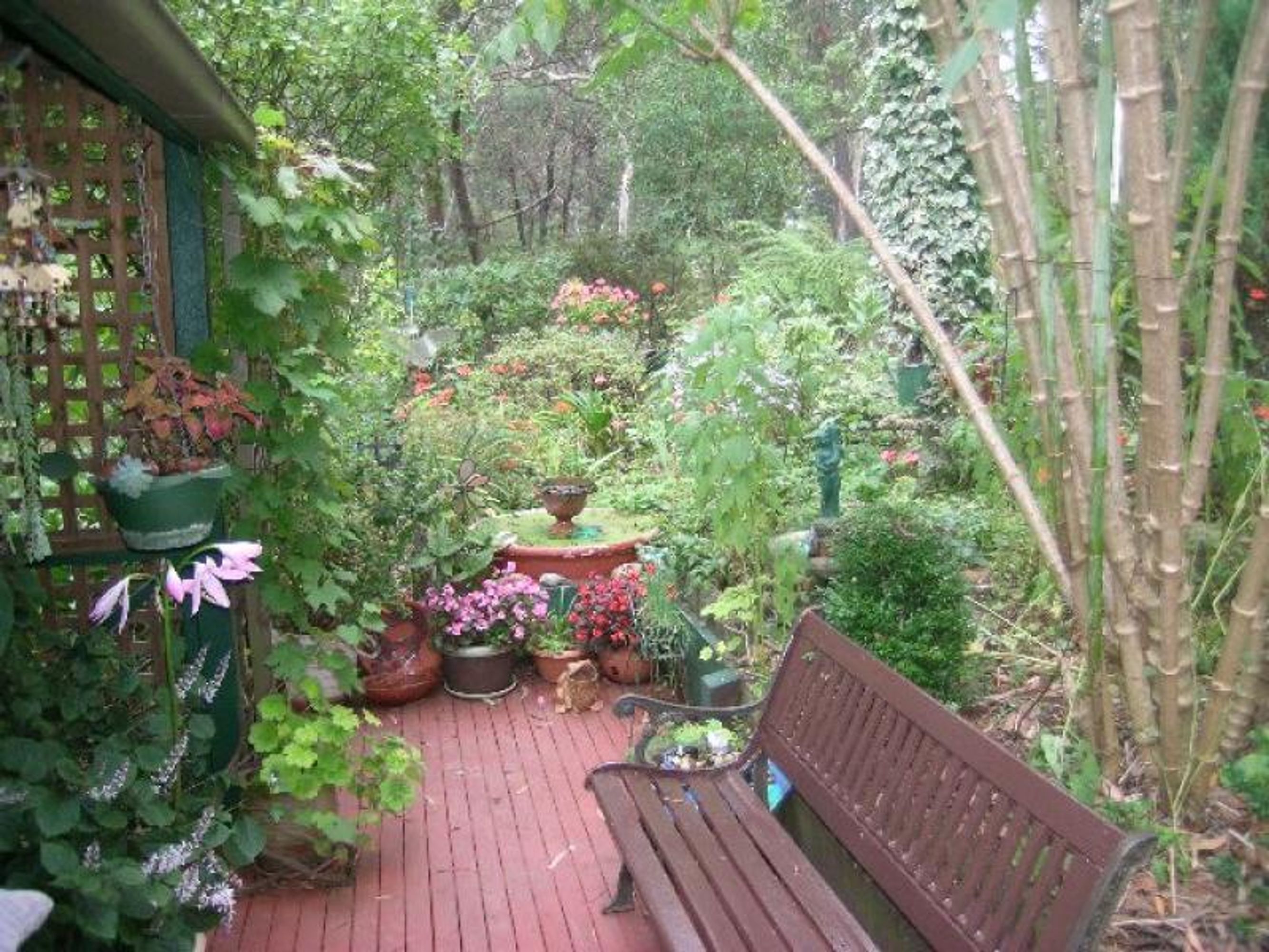 1 Seventh Ave, Katoomba - Thumbnail 4