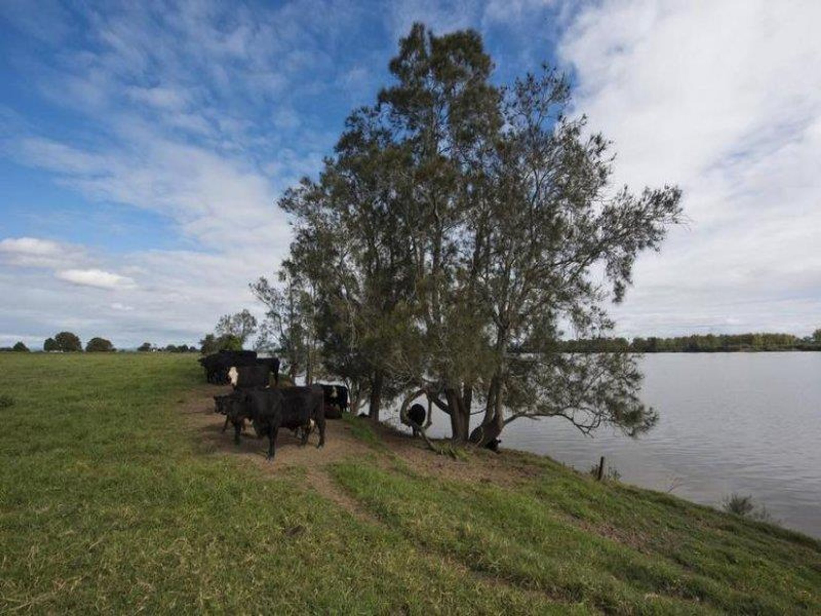 693 Pacific Highway, Swan Creek - Thumbnail 6