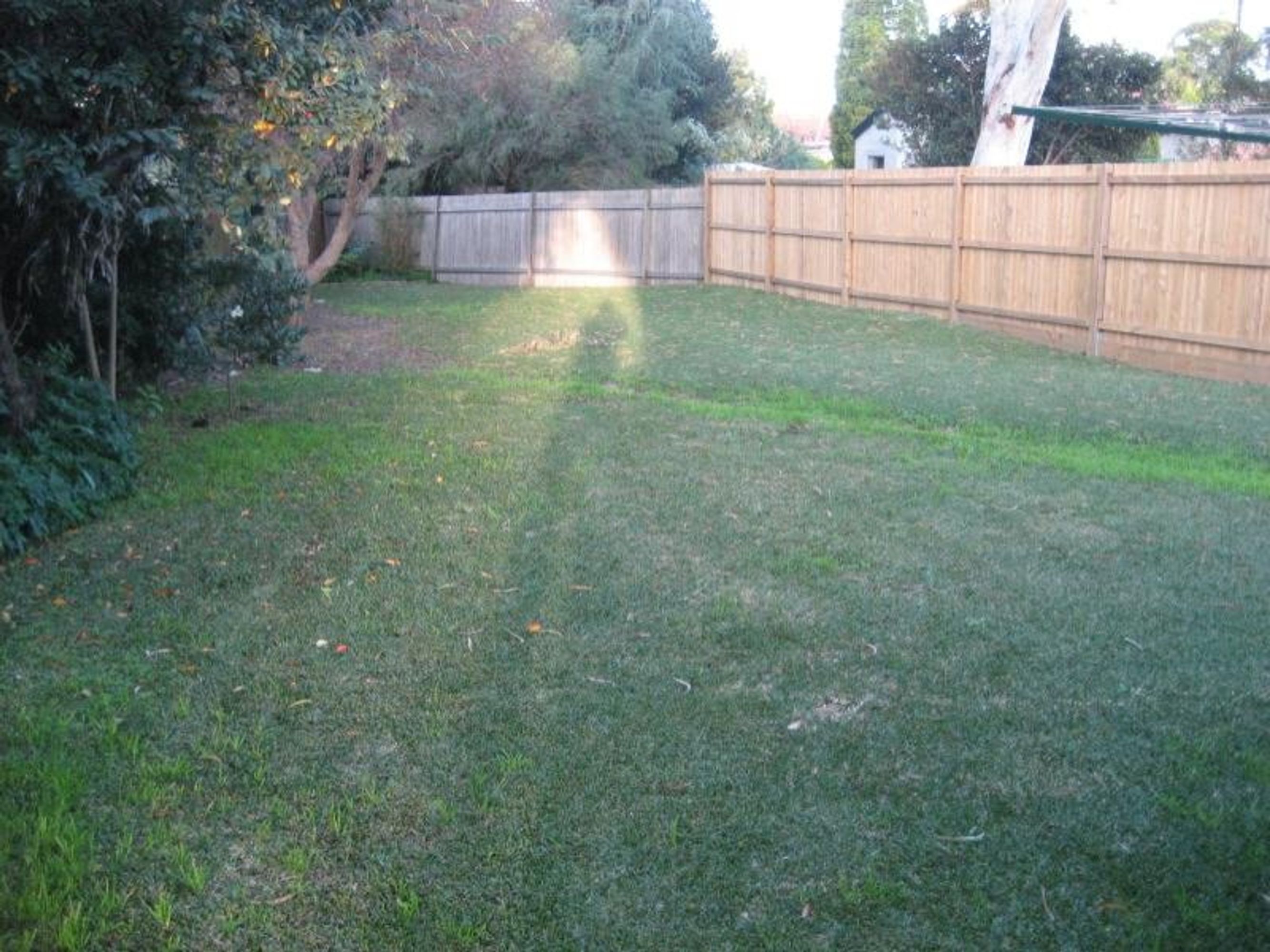 2A Elouera (South) St, Beverly Hills, Beverly Hills - Thumbnail 3